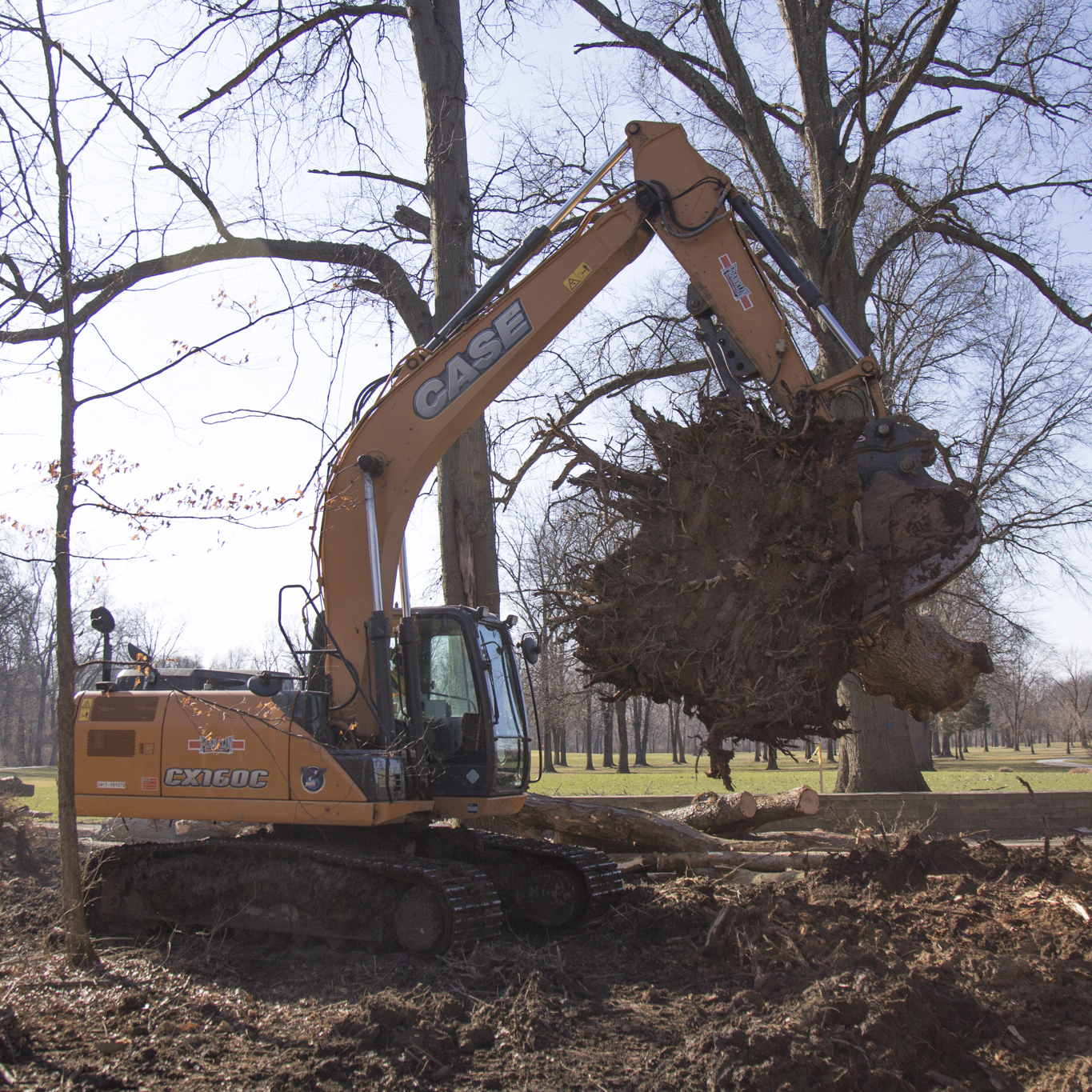 180315_rte_treework_0047-square.jpg