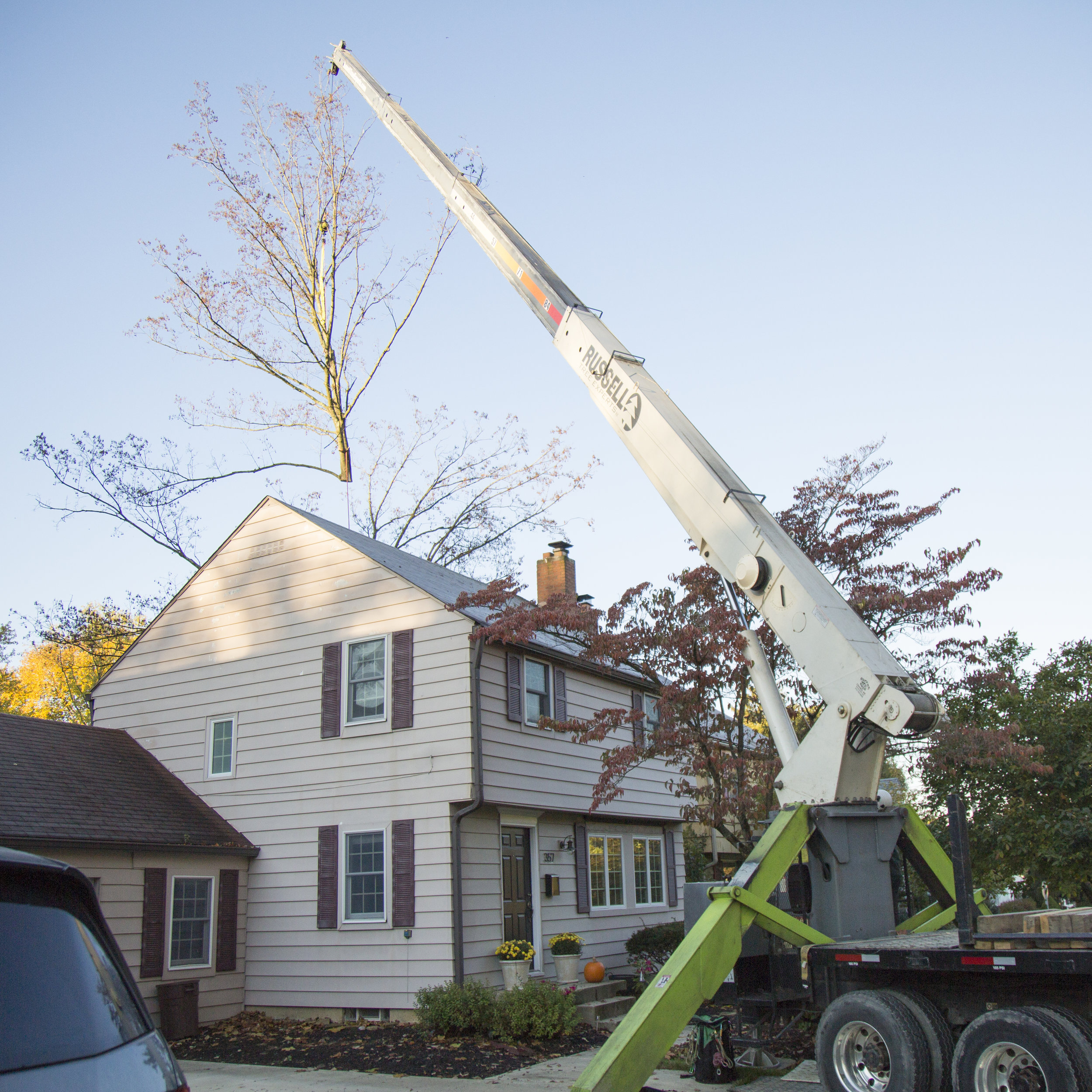 171031_rte_treework_0040.jpg