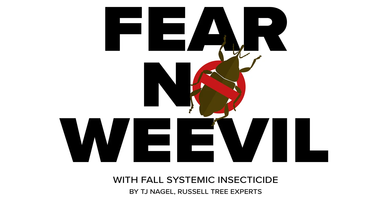 fear-no-weevil-v2.jpg