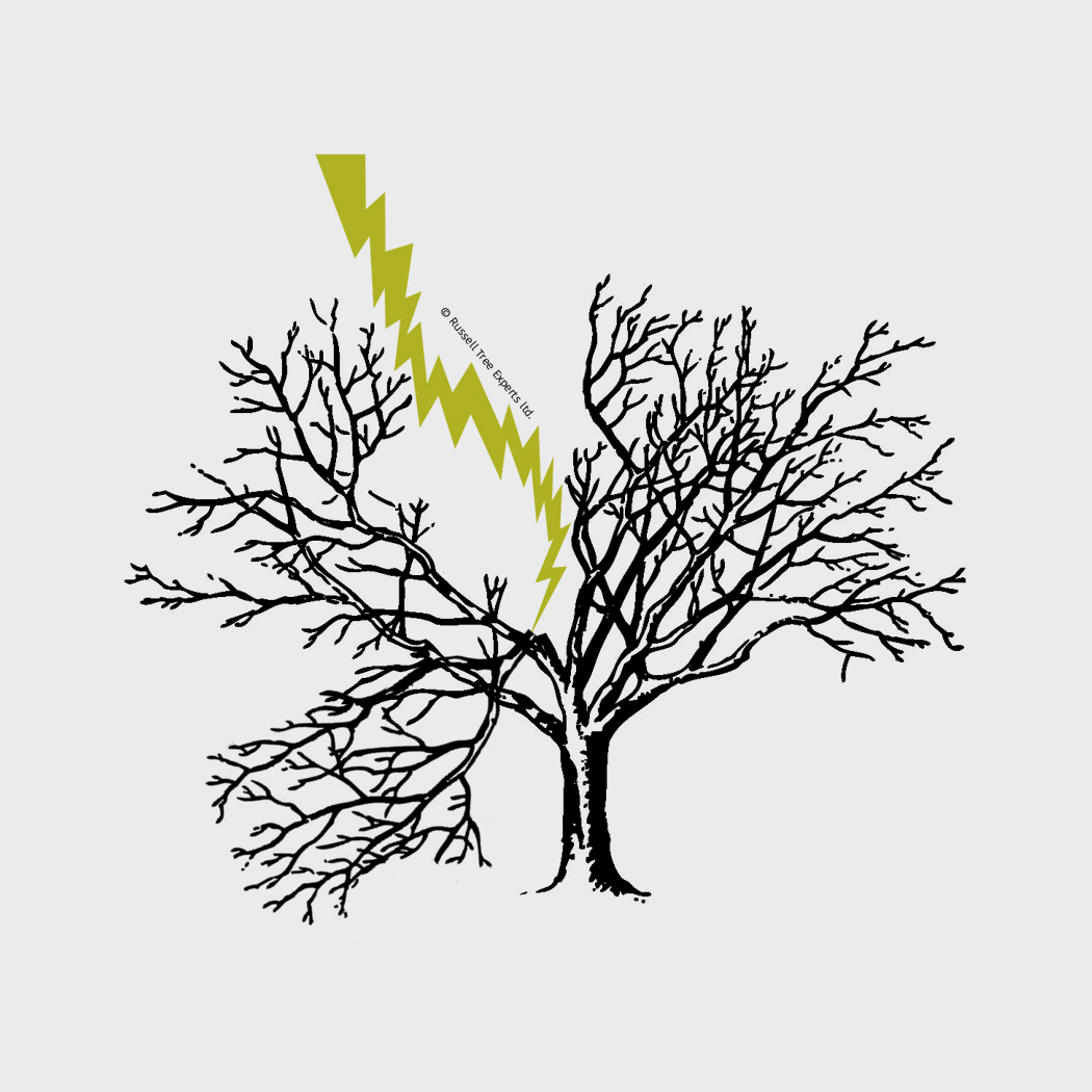 arbor-answers-TRAQ.jpg