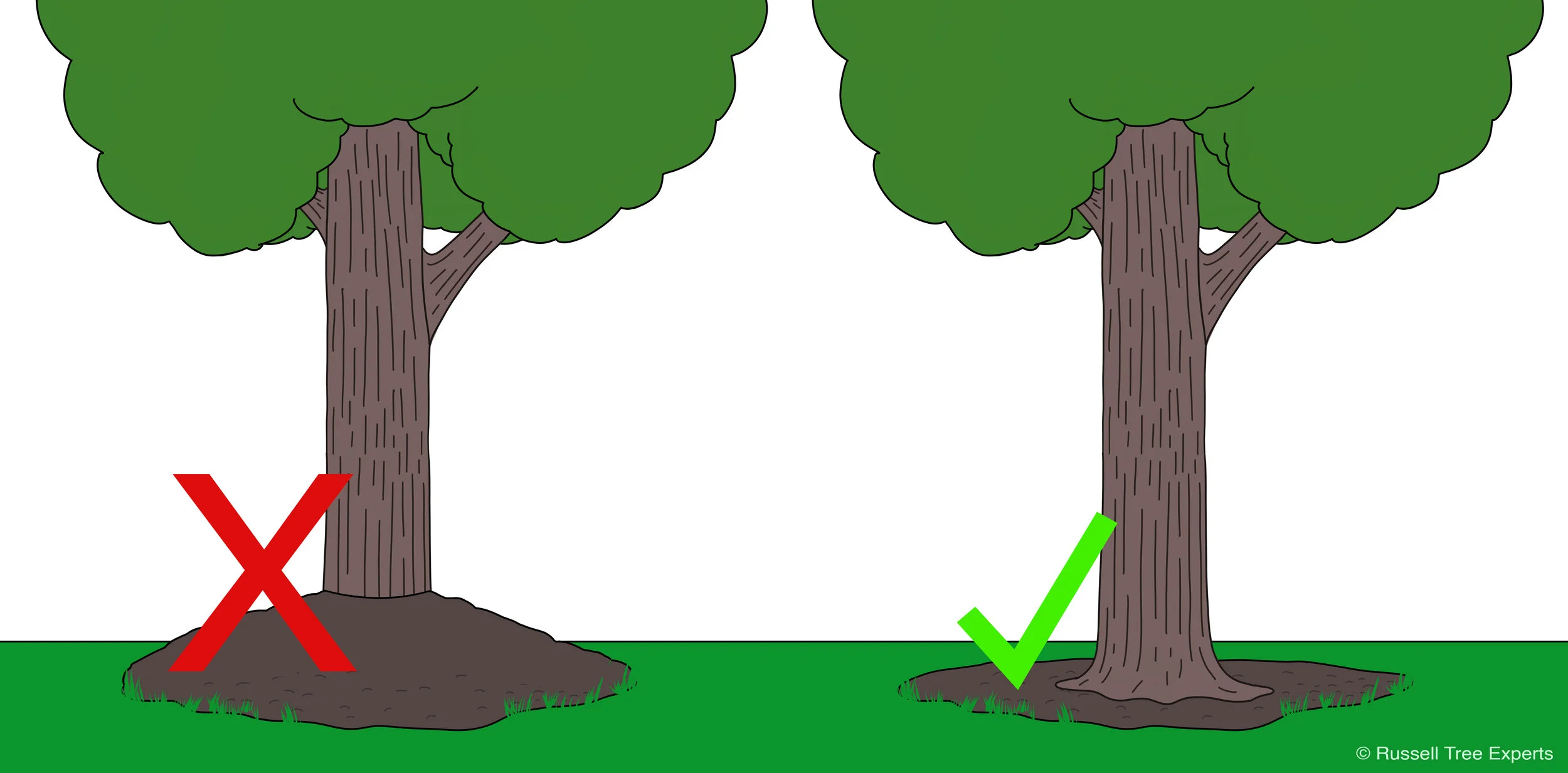 Bad vs. Good mulching techniques // Proper mulching around a tree keeps the root flare visible while having about 2 inches of mulch depth on the root zone.