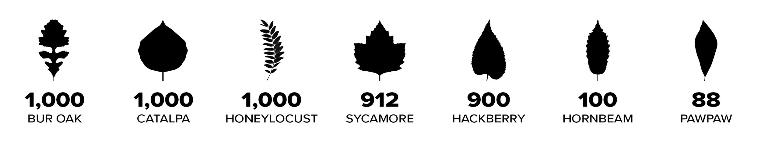 A breakdown of the 5,000 trees planted at Scioto Grove Metro Park on April 26, 2019 (Arbor Day)