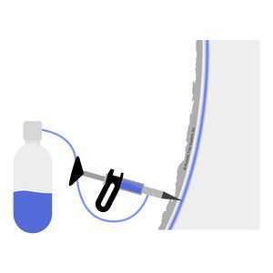 disease-control-treat.jpg