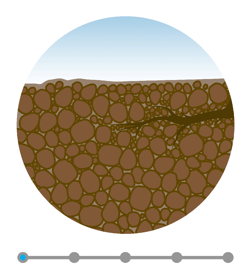 Russell Tree Experts — Soil Compaction = Not Good for Trees
