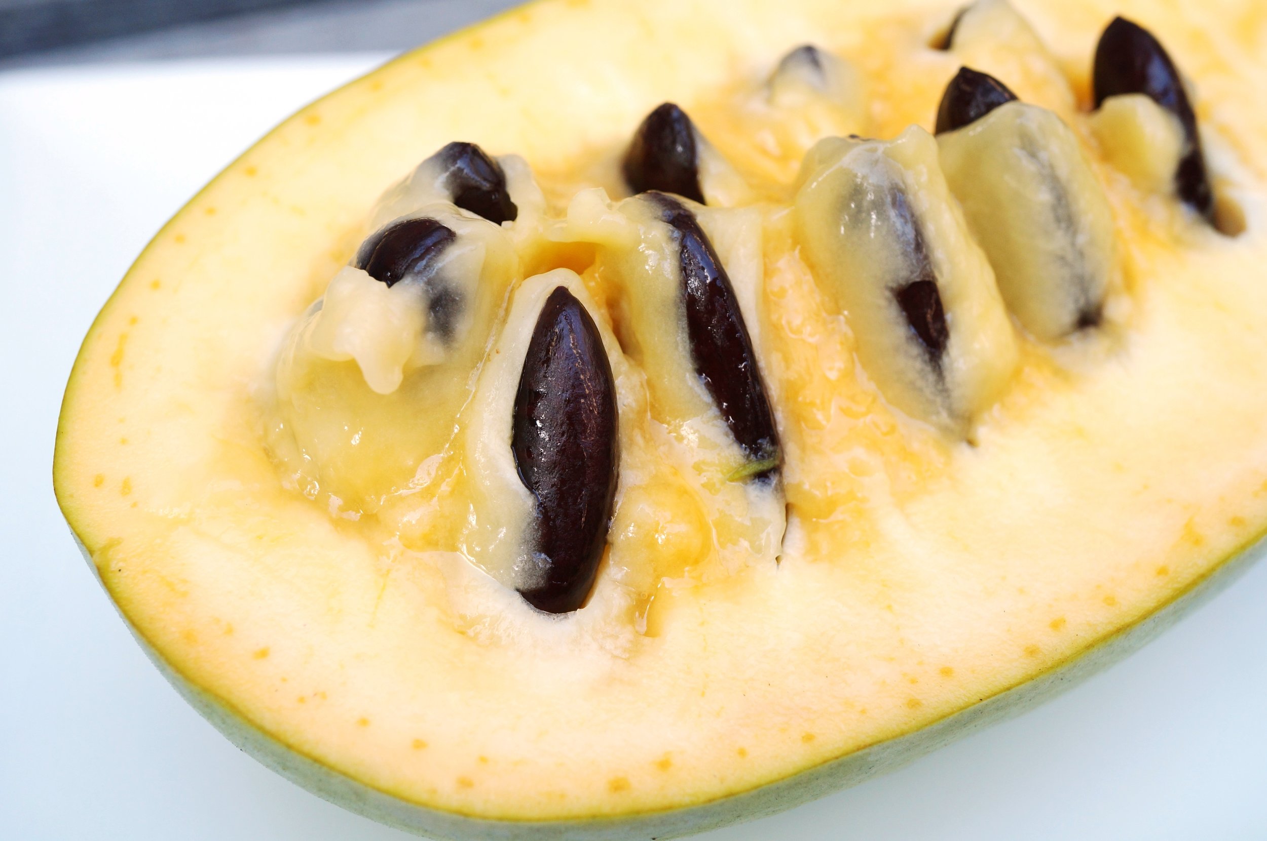 Pawpaw Fruit (Cut open)