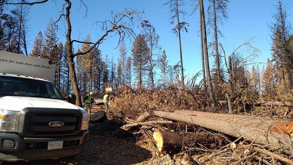 California Wild Fires (2015)