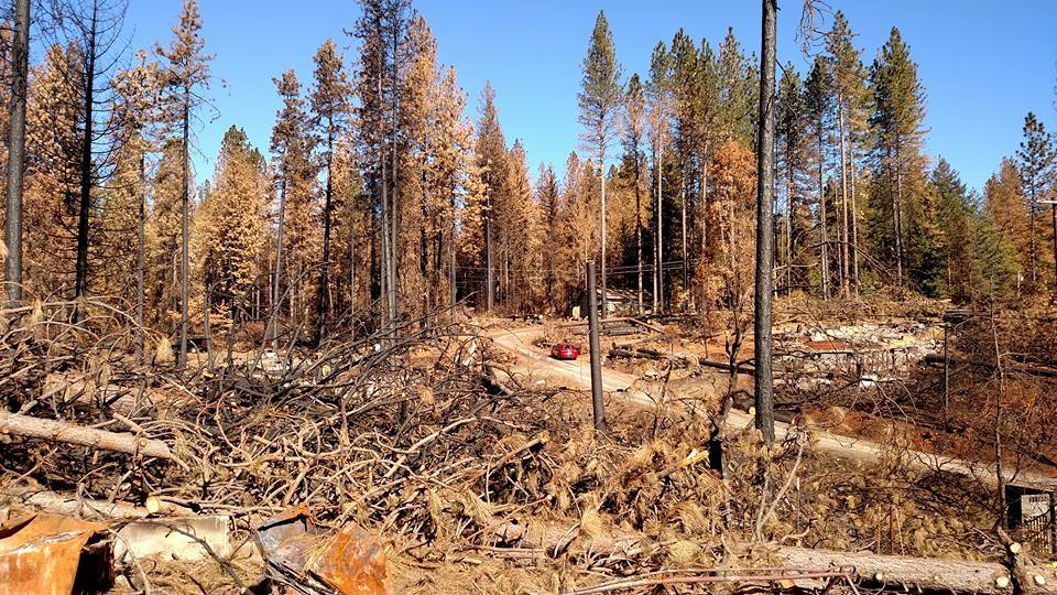 California Wild Fires (2015)