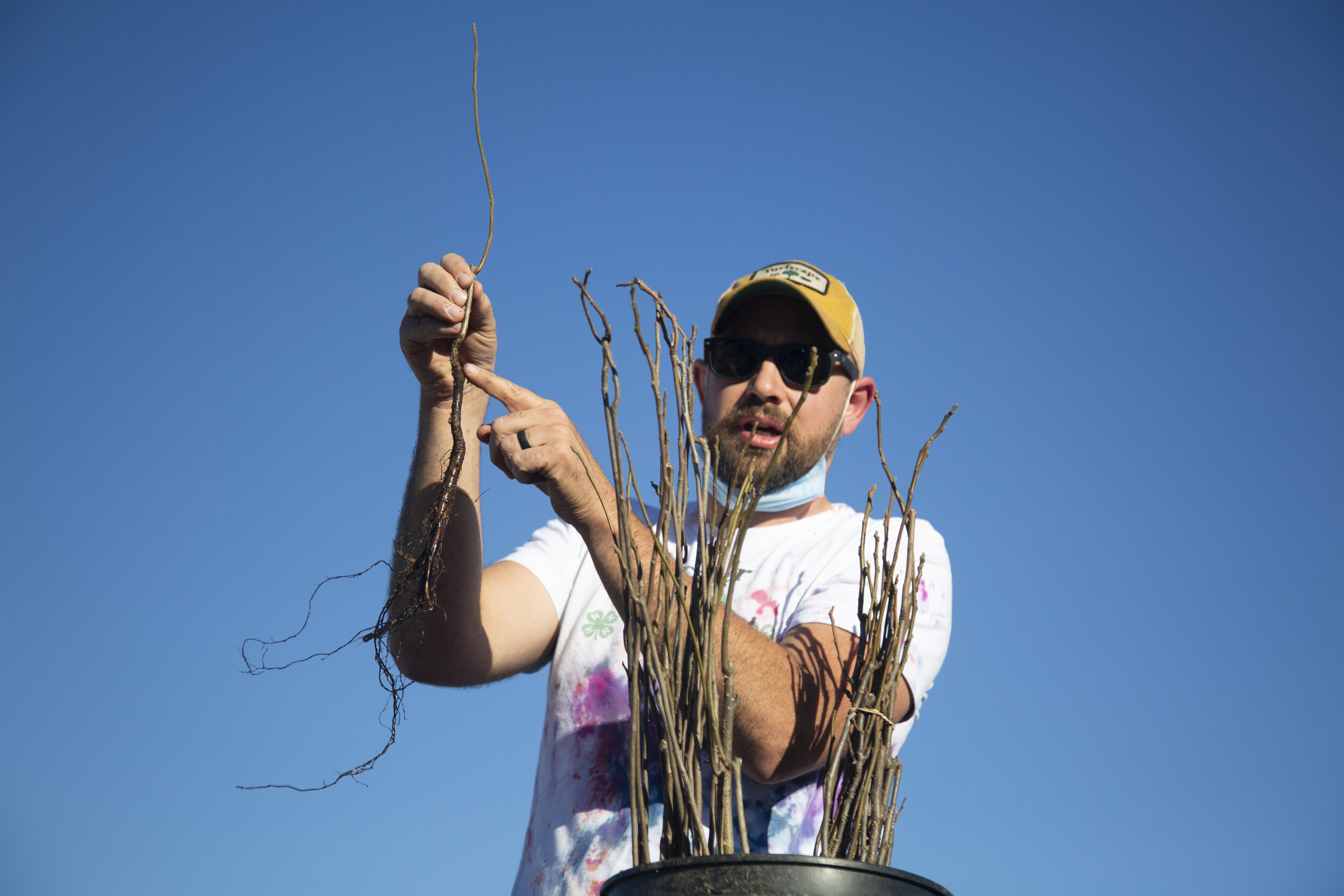 201108_rte_4-h_planting_0010.jpg