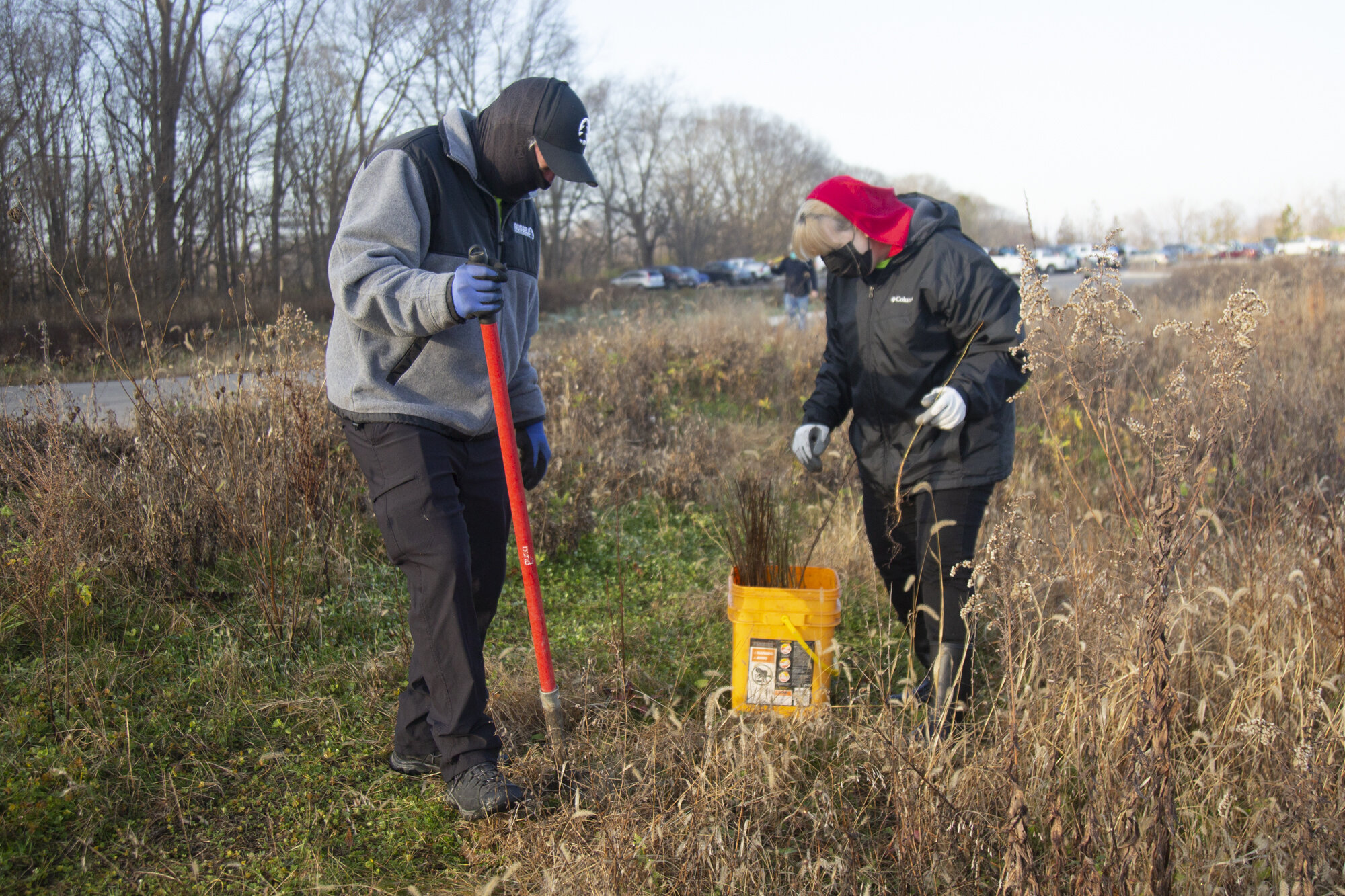 201113_rte_tree_planting_0012.JPG