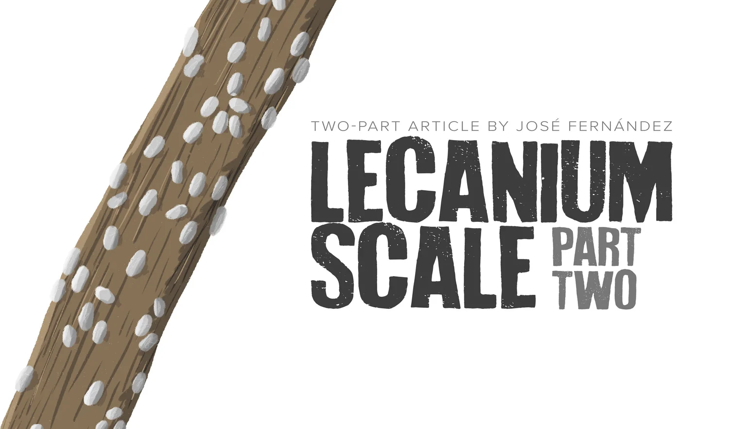 Russell Tree Experts — Lecanium Scale (Part Two)