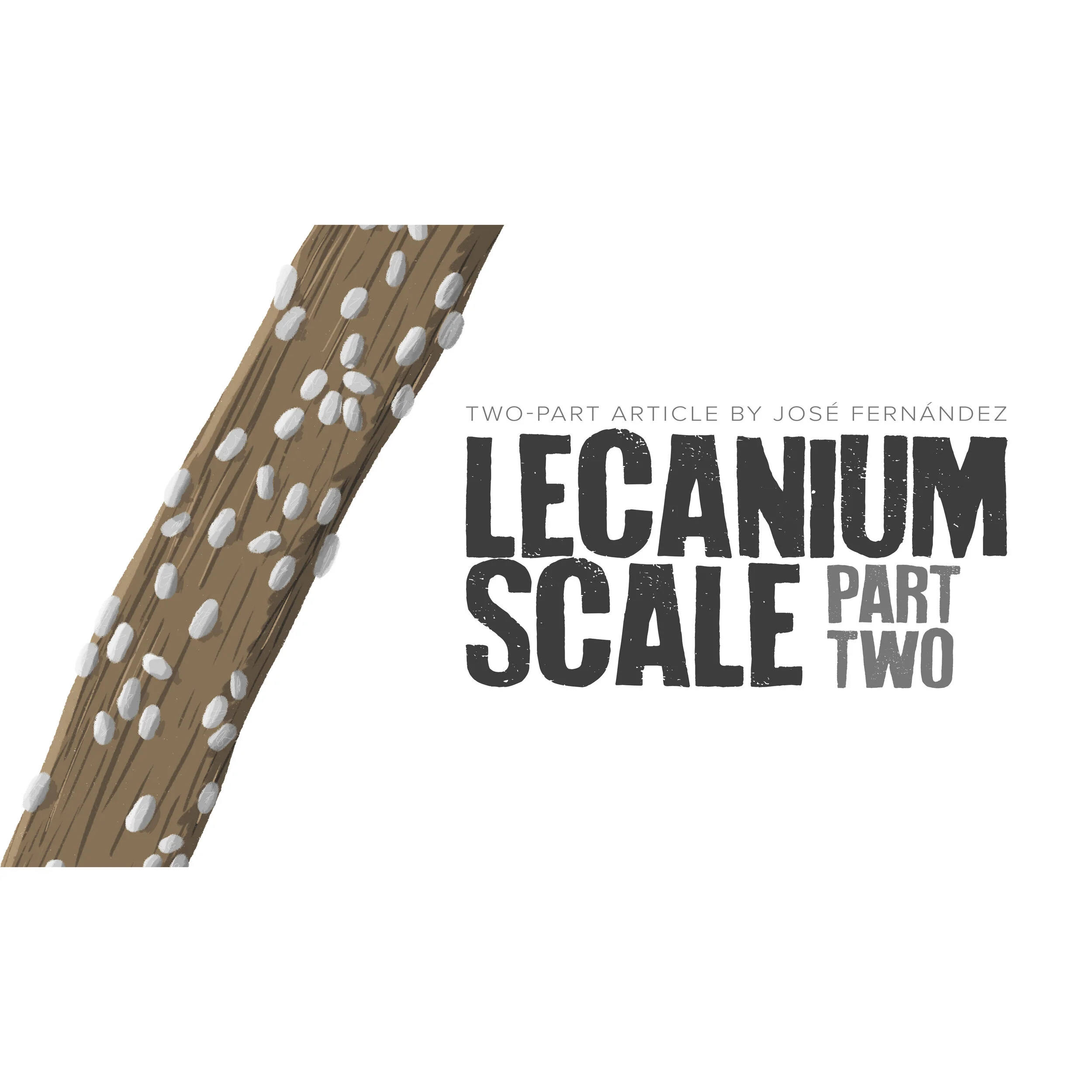 lecanium-scale-header-pt2 2.jpg