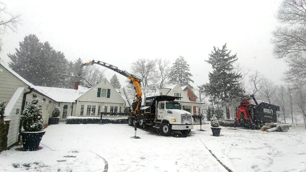 Our knuckle boom crane set up to remove a declining sugar maple from a back yard (Columbus, Ohio)