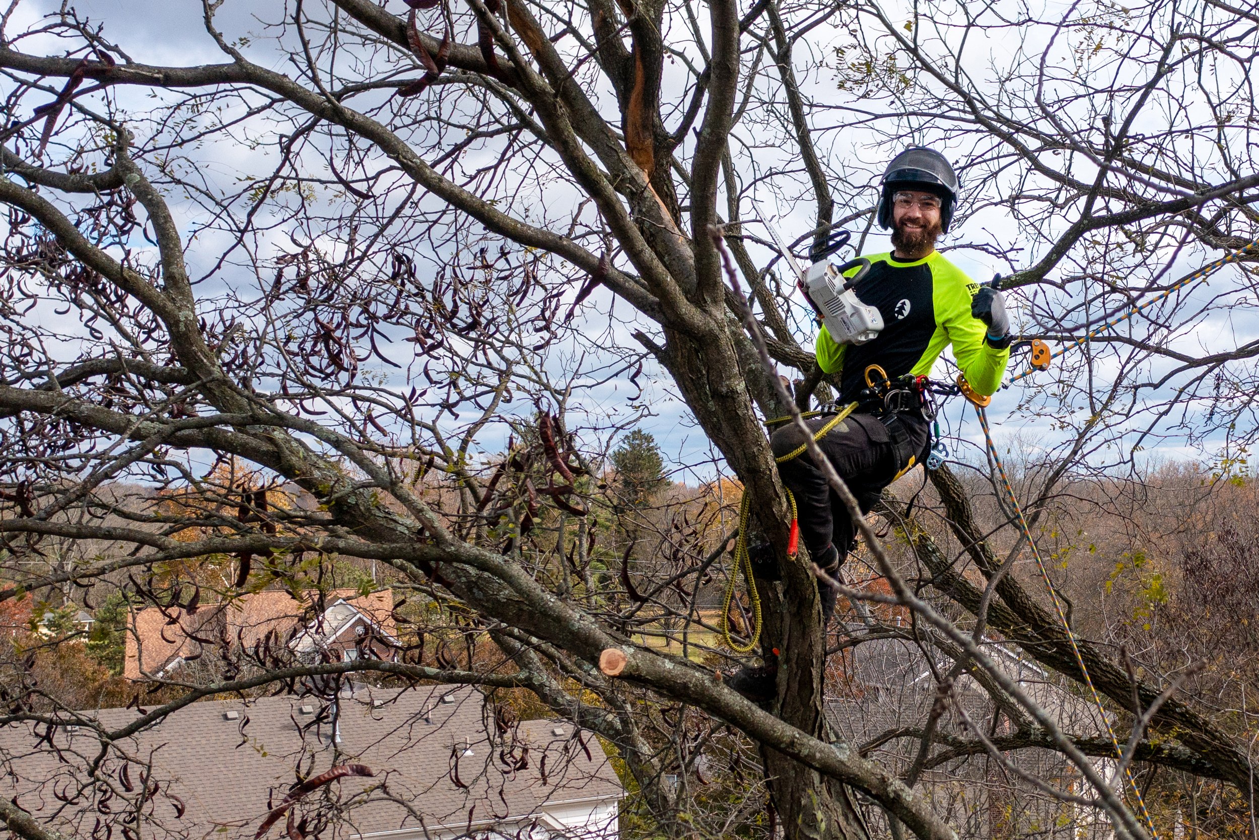   Removal, Pruning, Tree Wellness, &amp; More!    Free Quote    Request Quote  