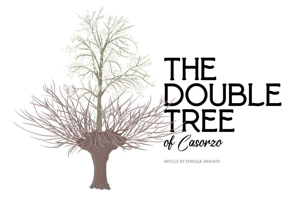 220512-double-tree-v2s.jpg