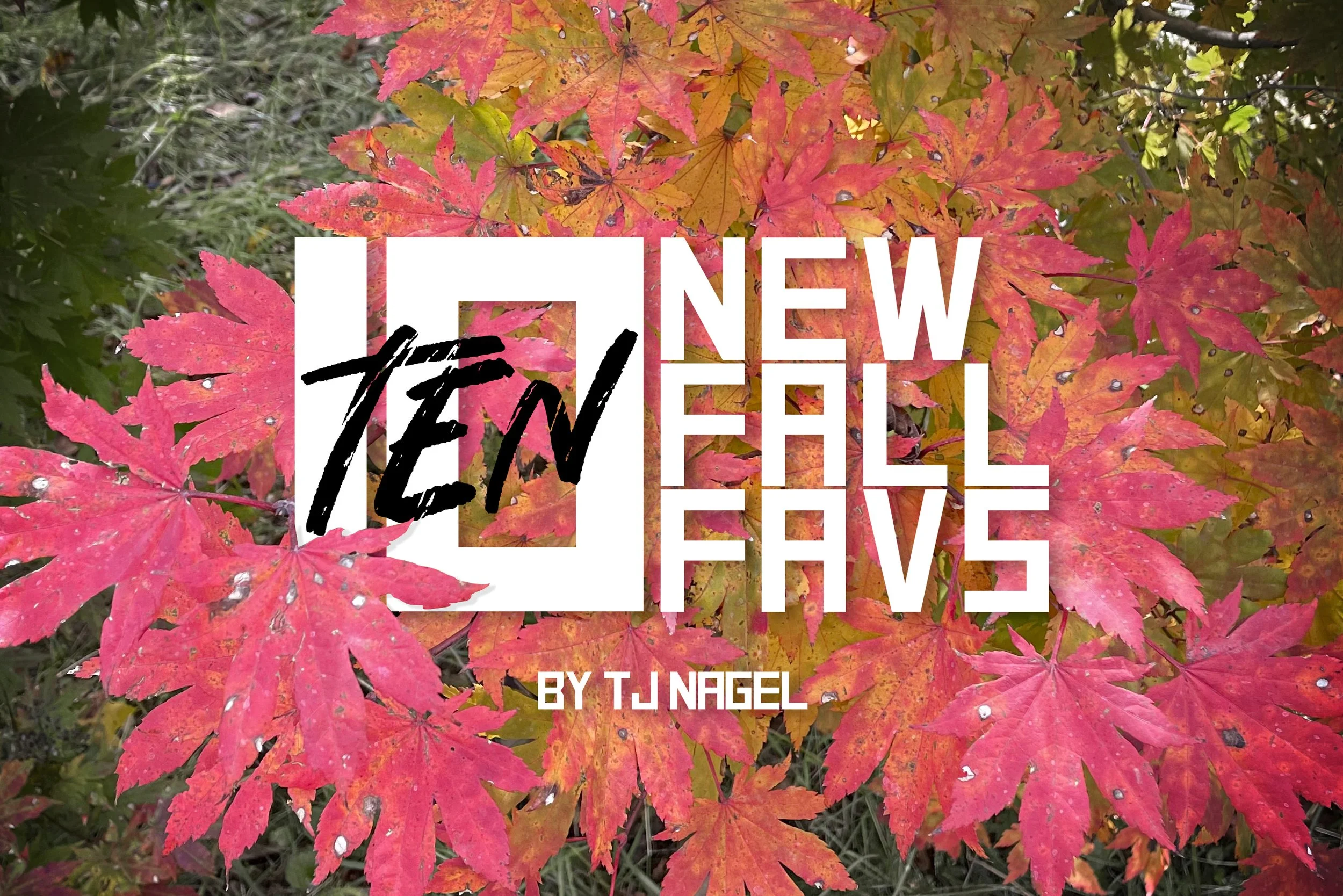 221108-fall-color-header.jpg