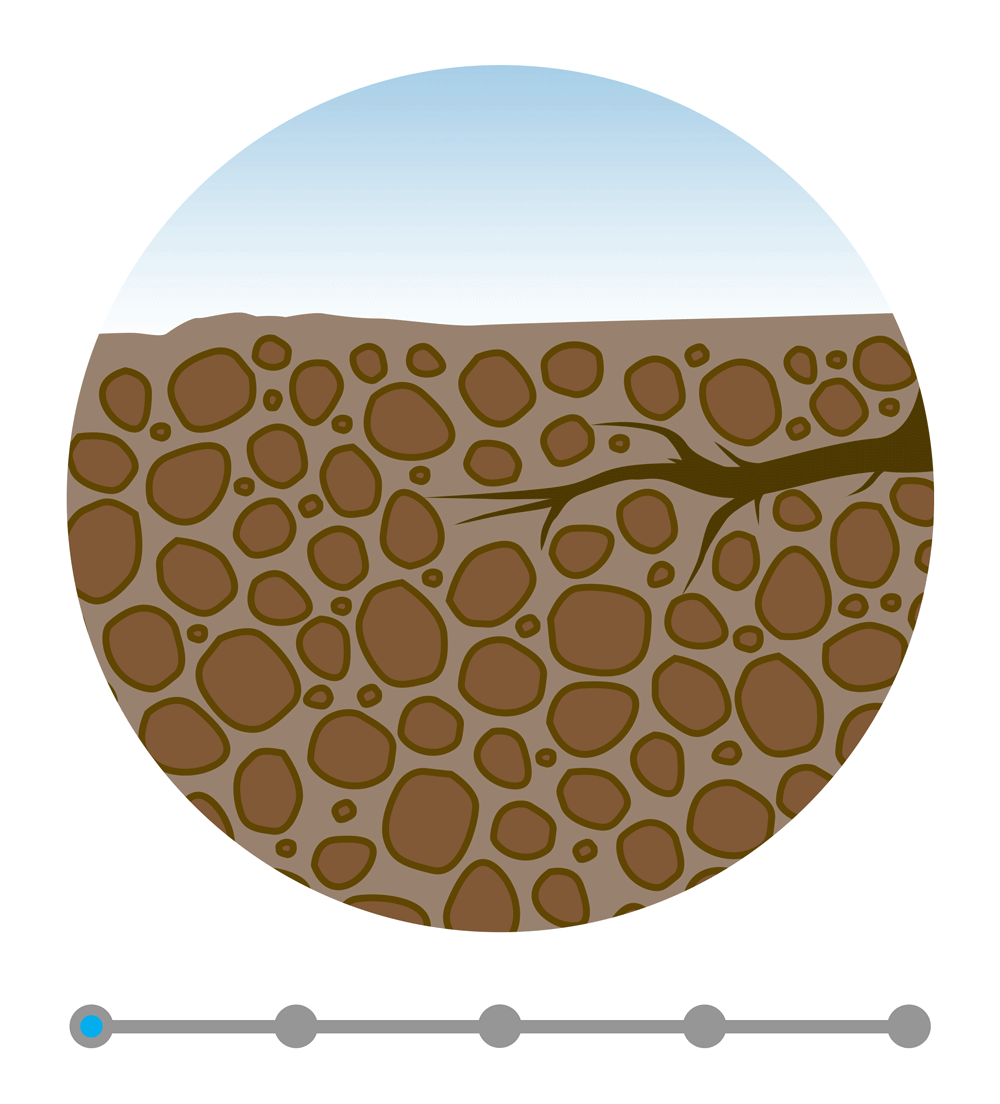  AFTER  
After Root Zone Invigoration is performed, the soil is adequately porous, allowing water and oxygen to reach the root system of the tree.