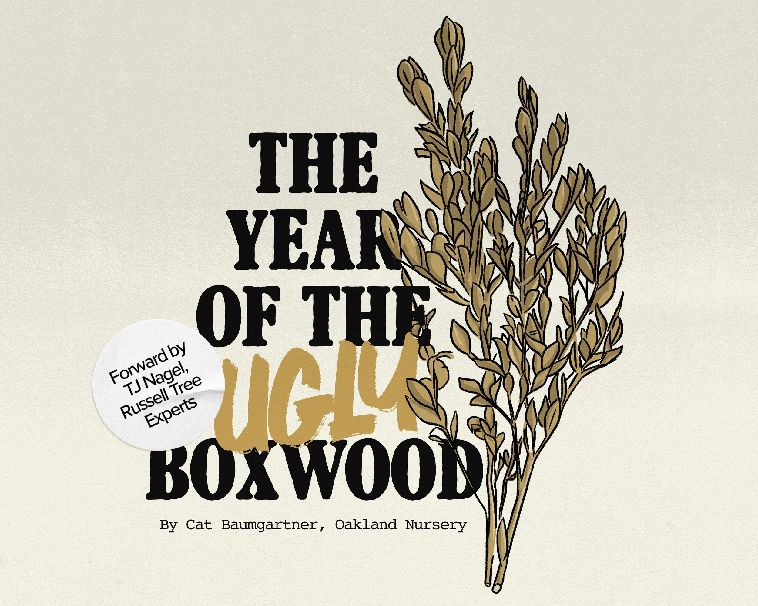 231017-boxwood-horiz.jpeg
