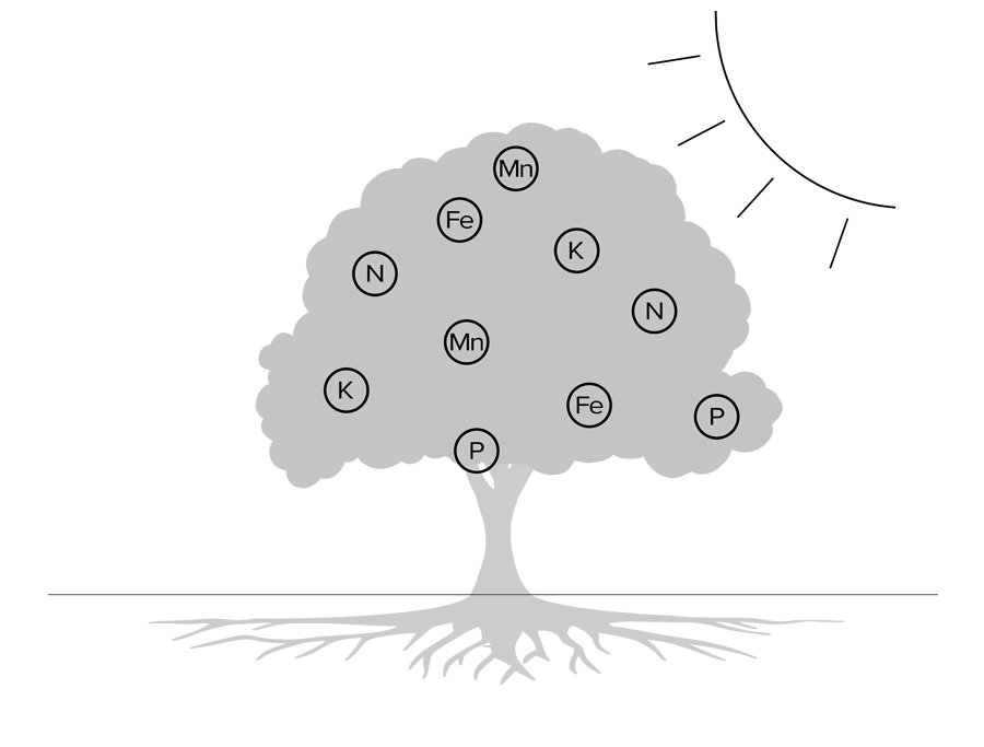 STEP 3: Evapotranspiration