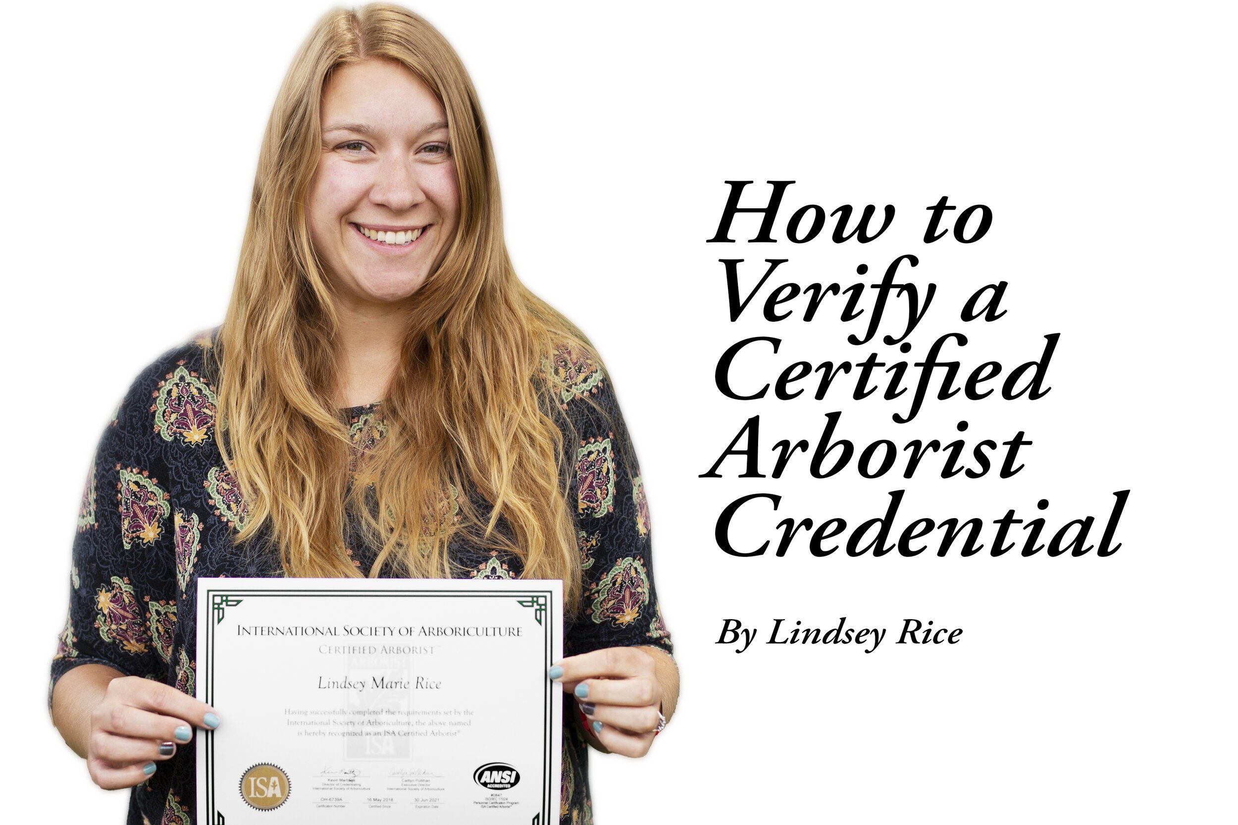 How to Verify a Certified Arborist Credential.jpeg