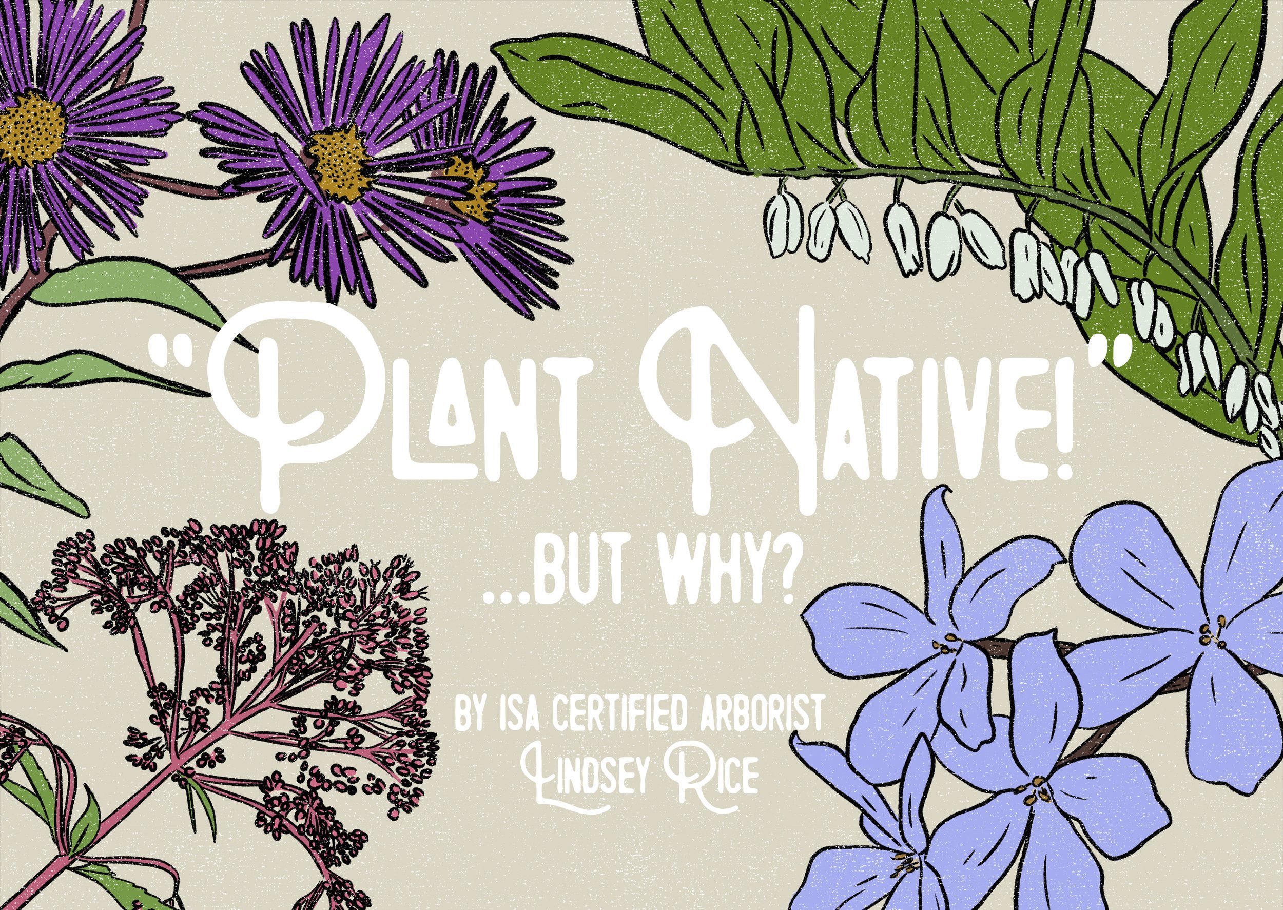 Plant Native But Why by Lindsey Rice.jpeg