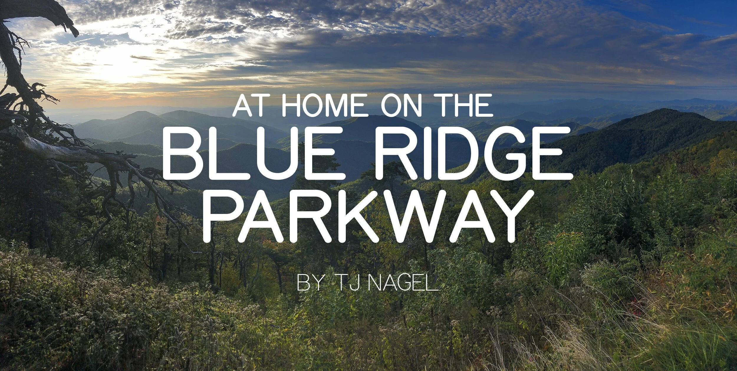 At Home on the Blue Ridge Parkway by TJ Nagel.jpg