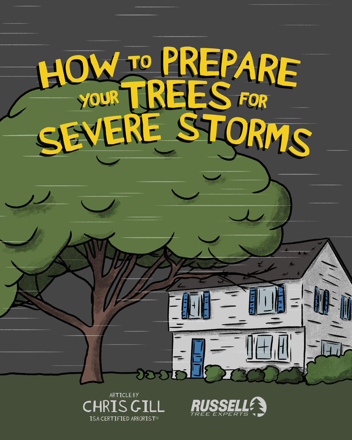How to Prepare Your Trees for Severe Storms by Chris Gill.GIF