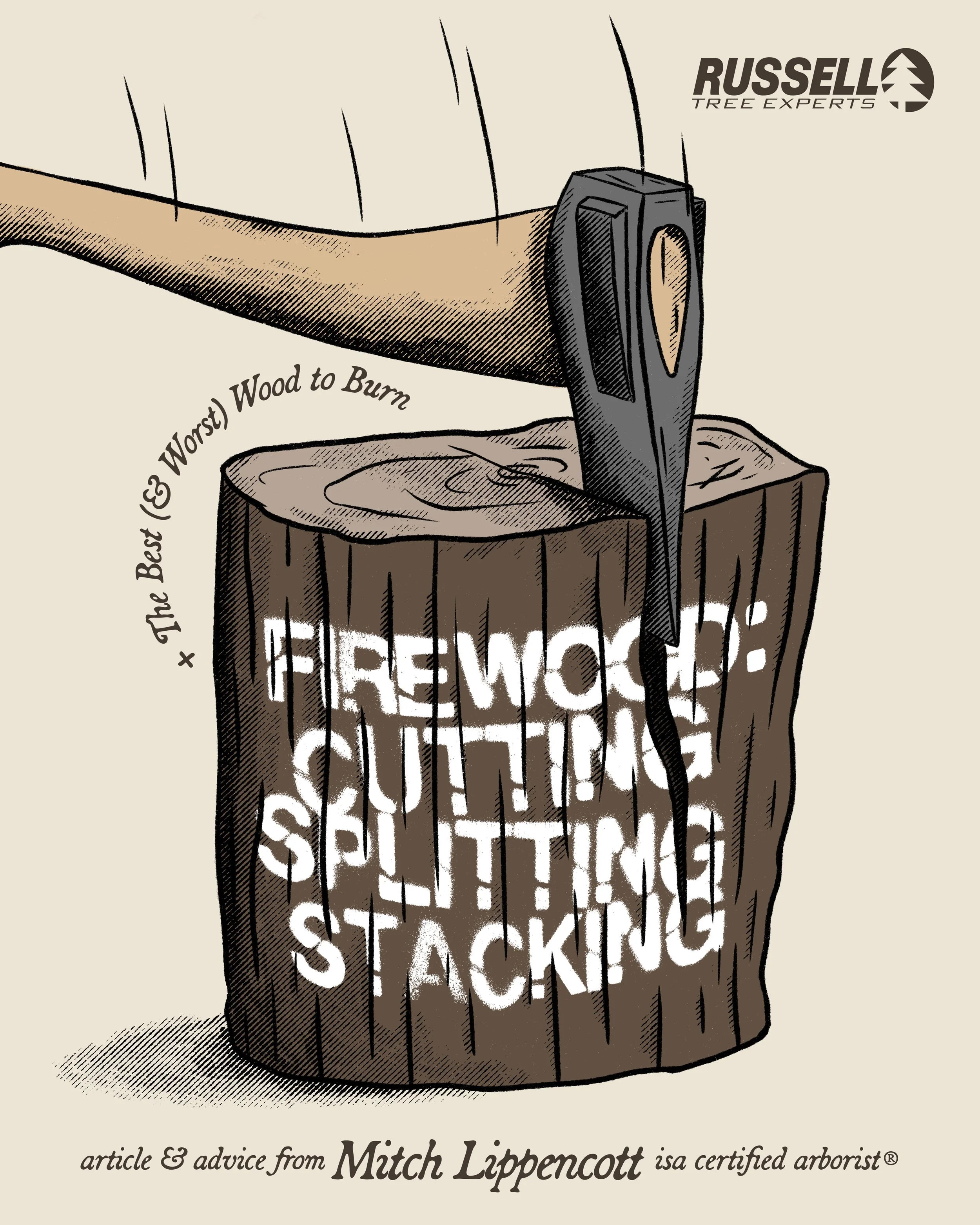 Firewood Cutting and Safety Tips by Mitch Lippencott.jpeg