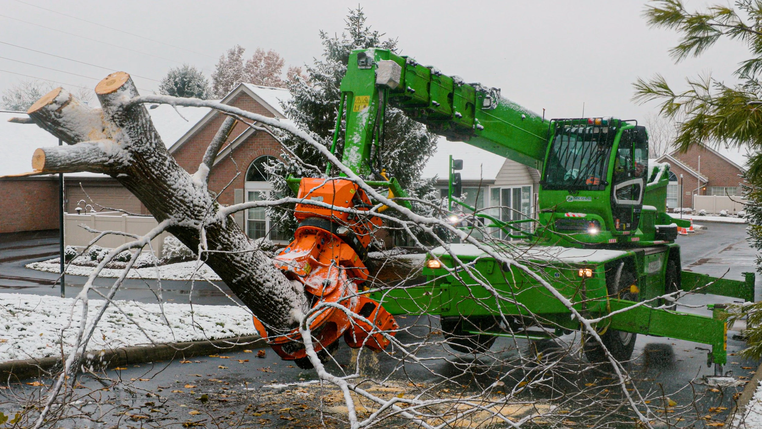   Removal, Pruning, Tree Wellness, &amp; More!    Free Quote    Request Quote  