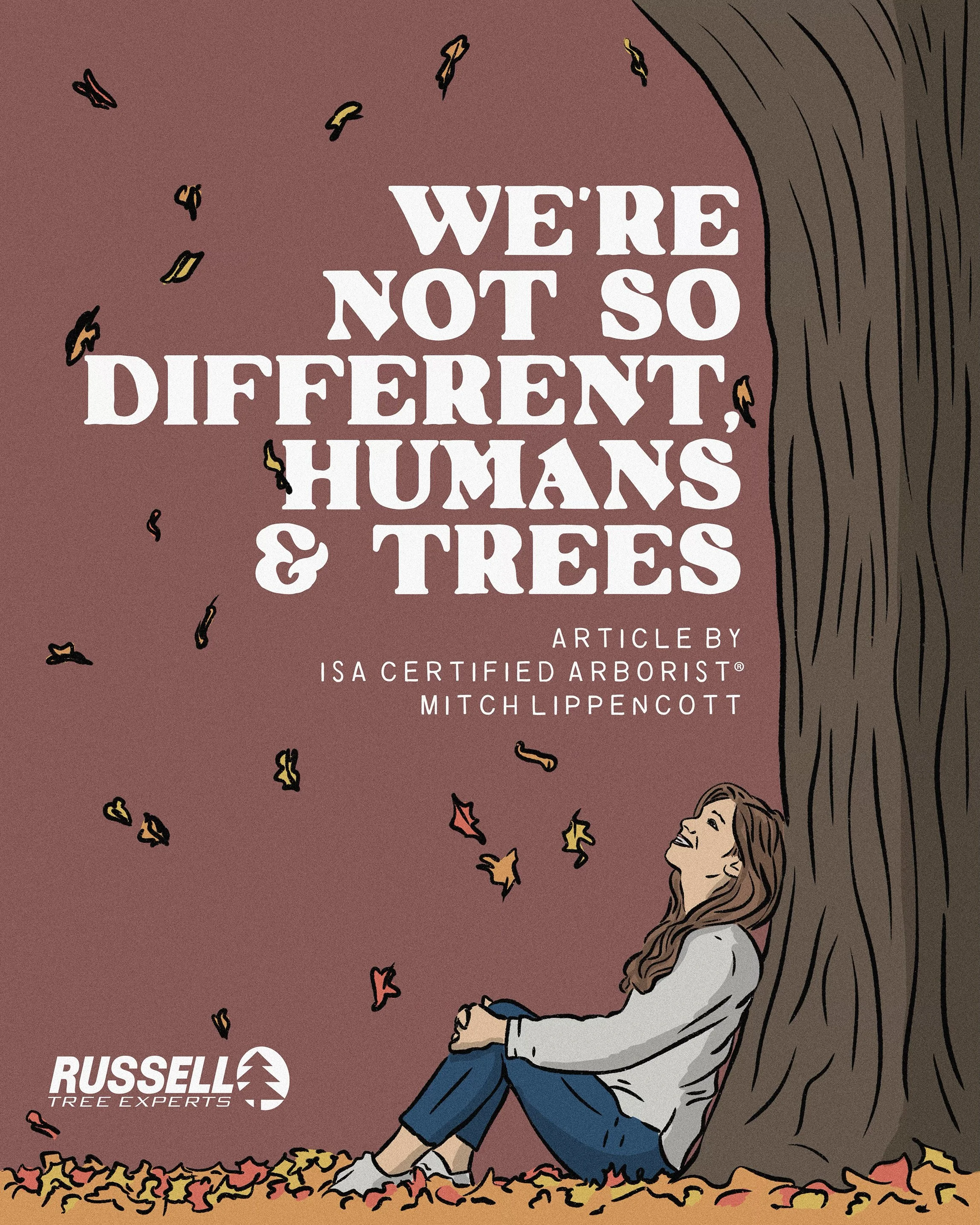 Stressful Situations by Mitch Lippencott.jpg