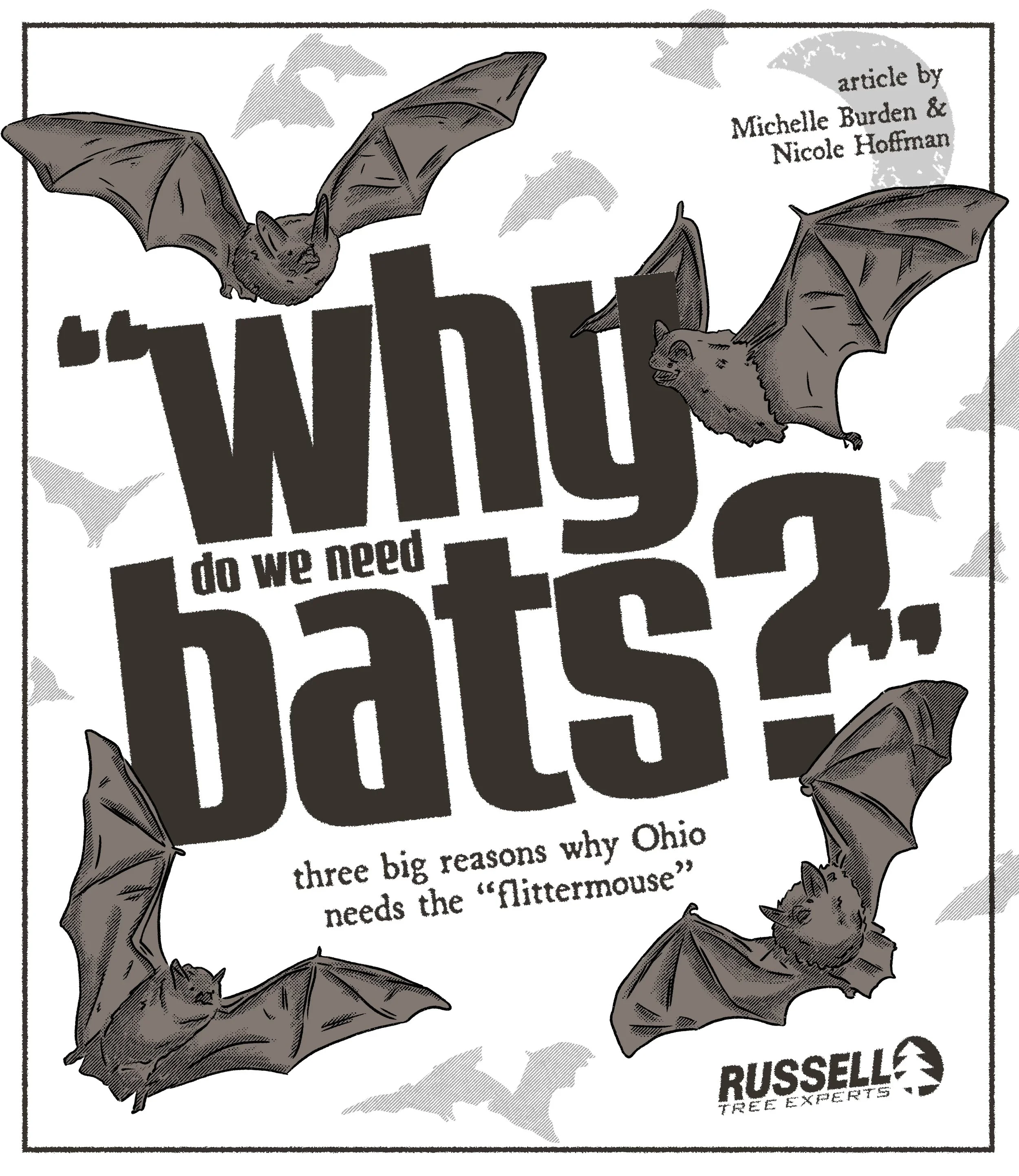Why Do We Need Bats by Michelle and Nicole.jpg