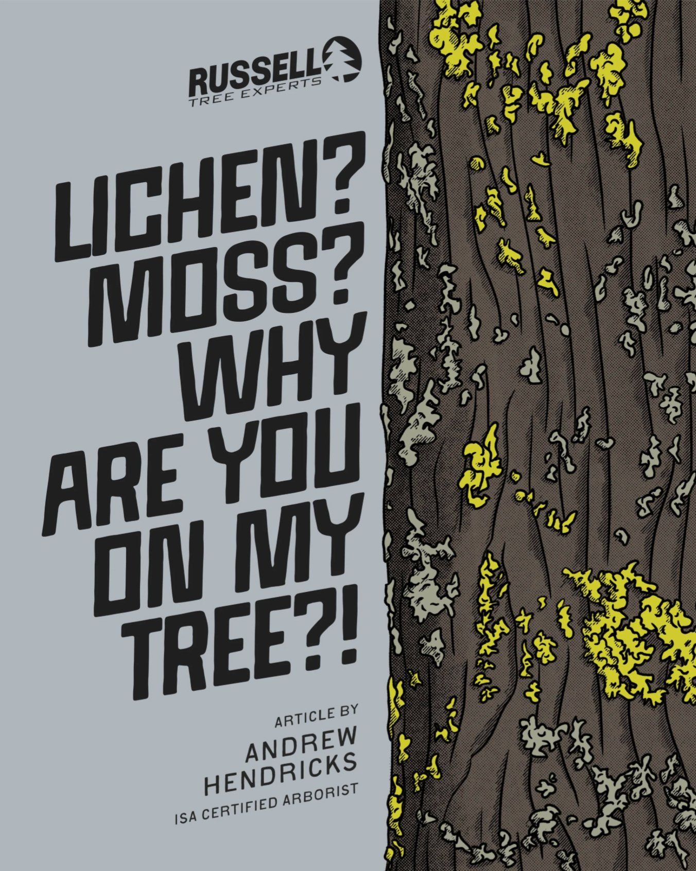 Lichen? Moss? Why Are You On My Tree by Andrew Hendricks.jpg