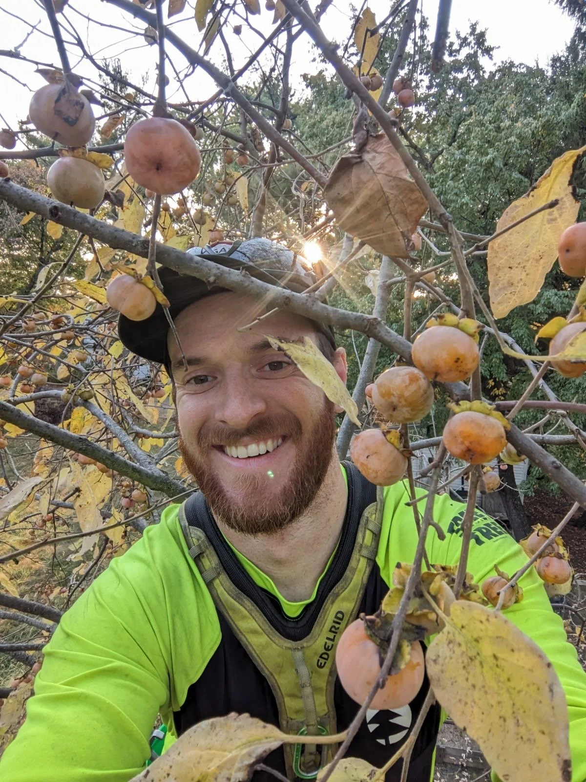 Arborist Jacob Nau