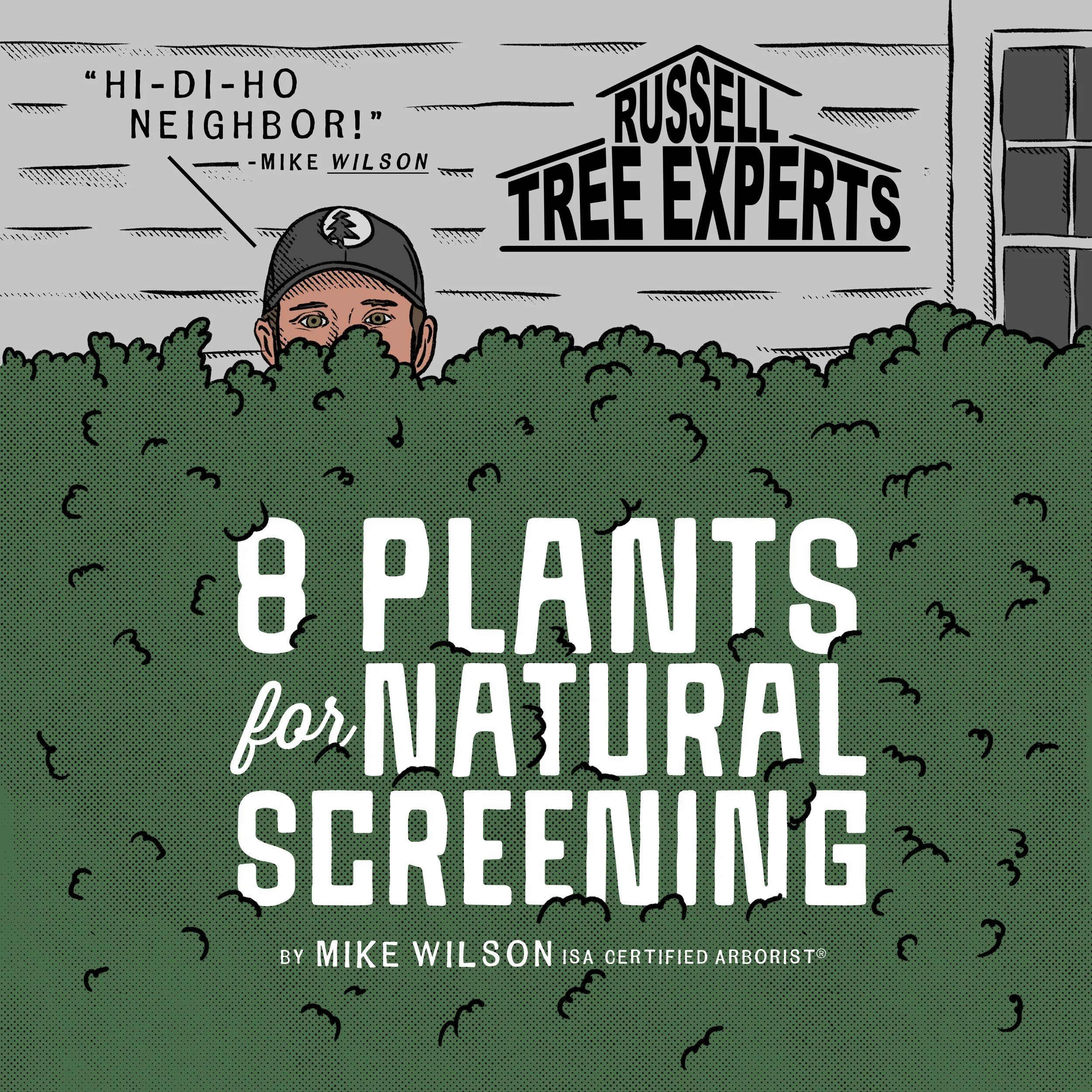 Eight Plants for Natural Screening