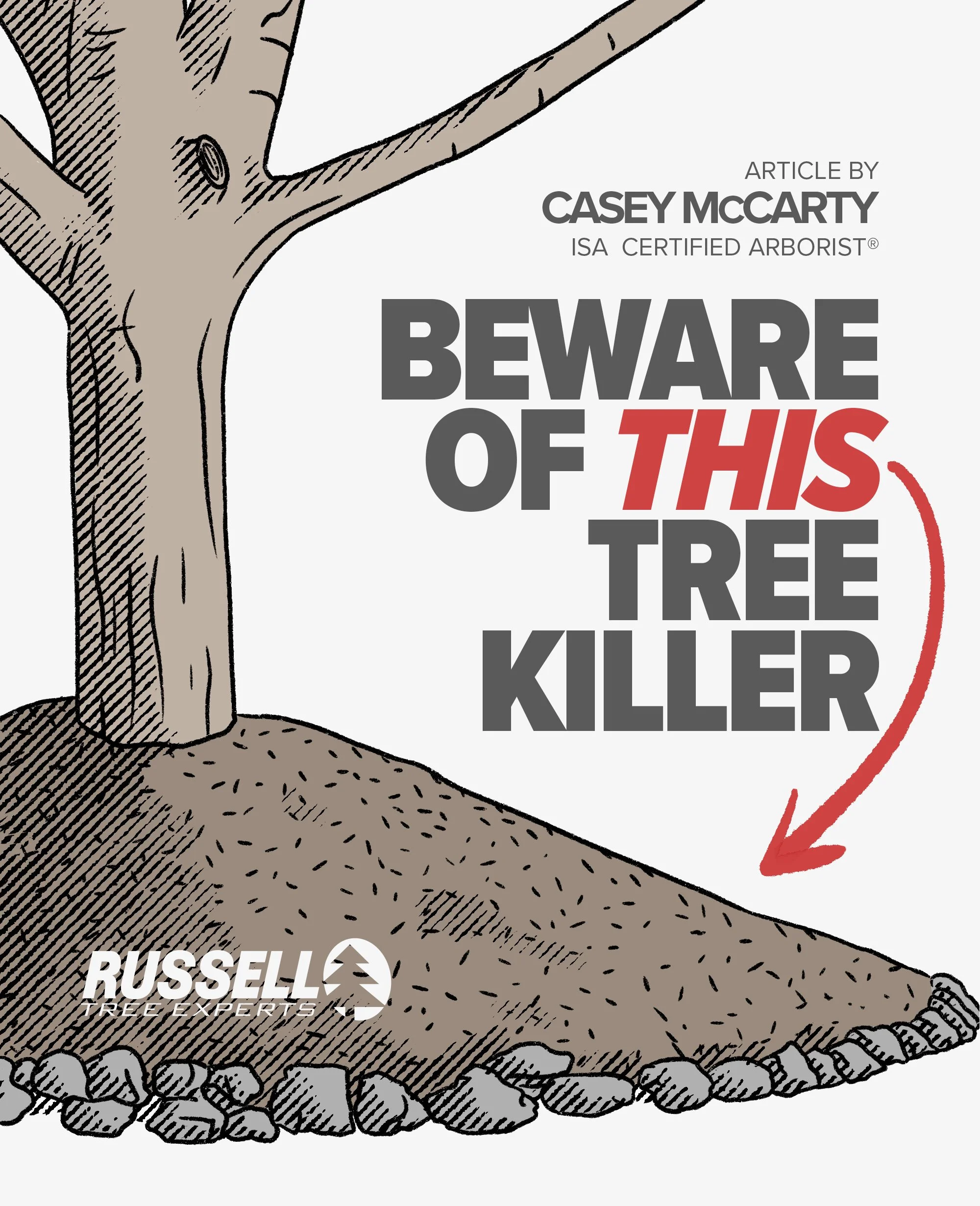 Mulch Rings: Beware of This Tree Killer