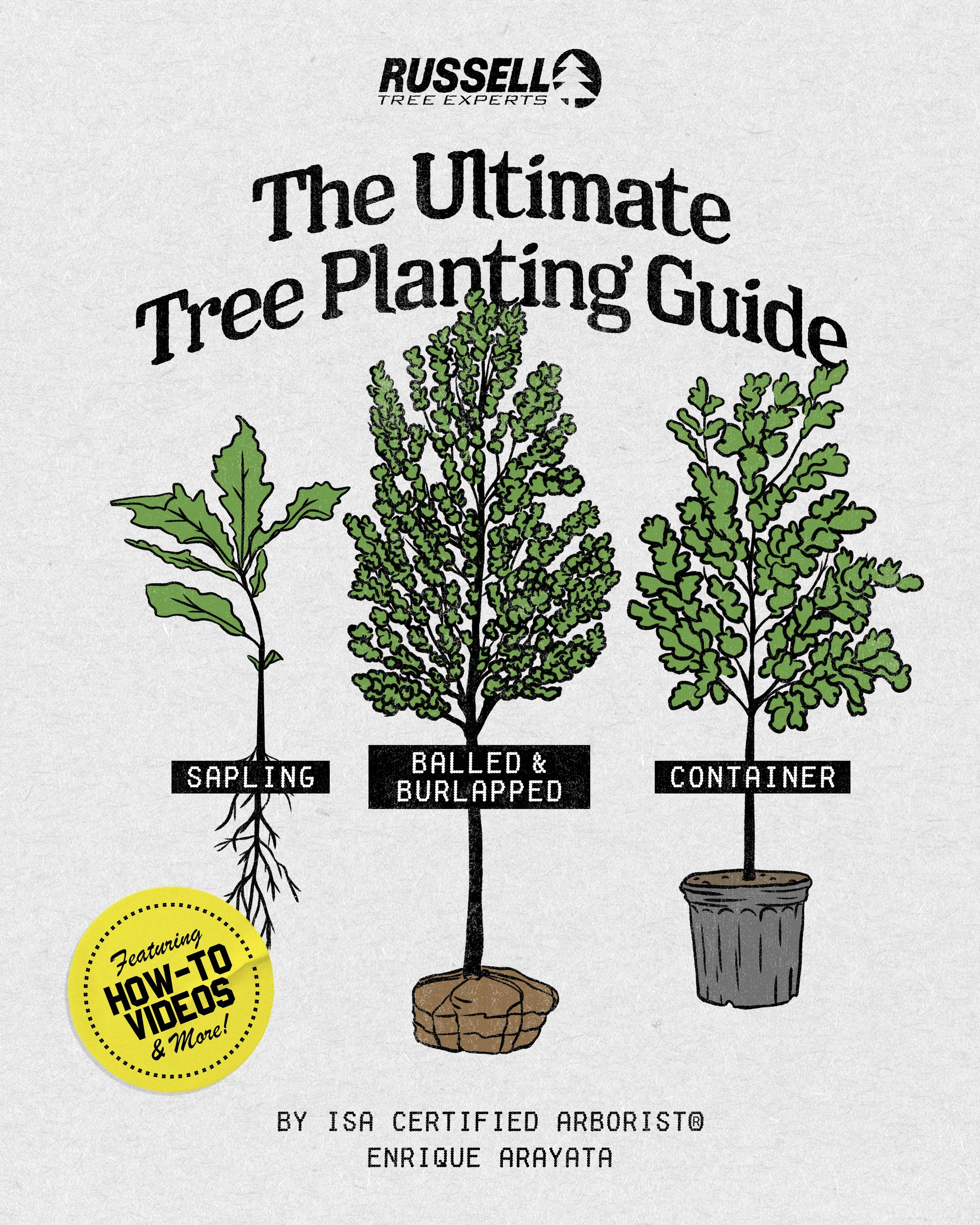 The ULTIMATE Tree Planting Guide!