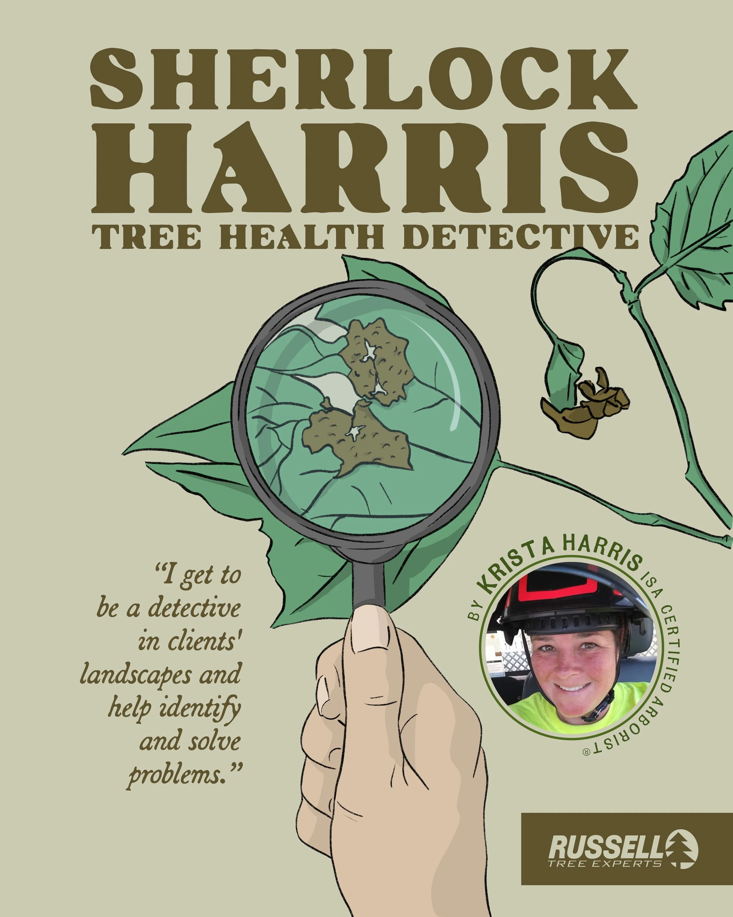 Sherlock Harris Tree Health Detective by Krista Harris.jpg