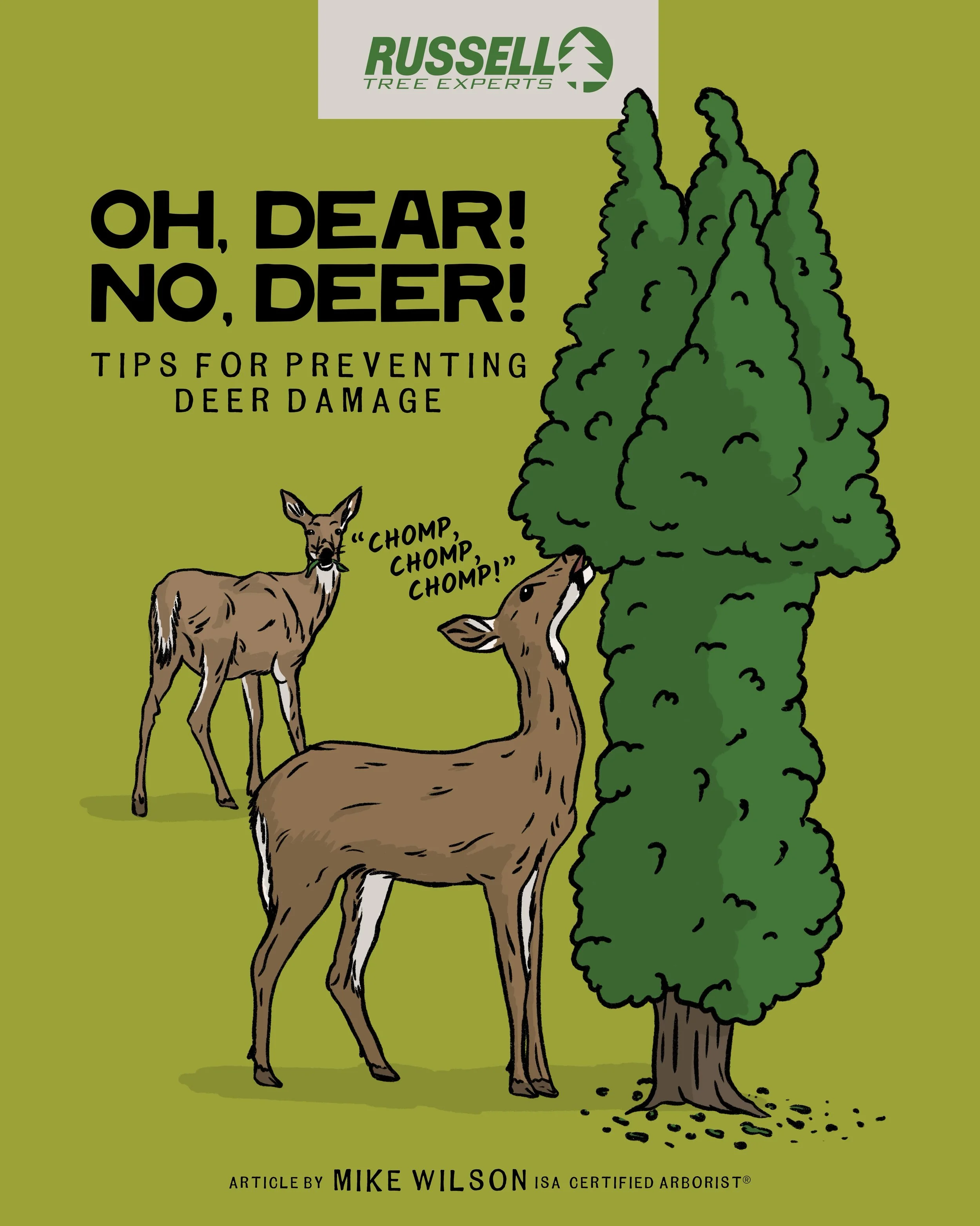Oh Dear No Deer by Mike Wilson.jpg
