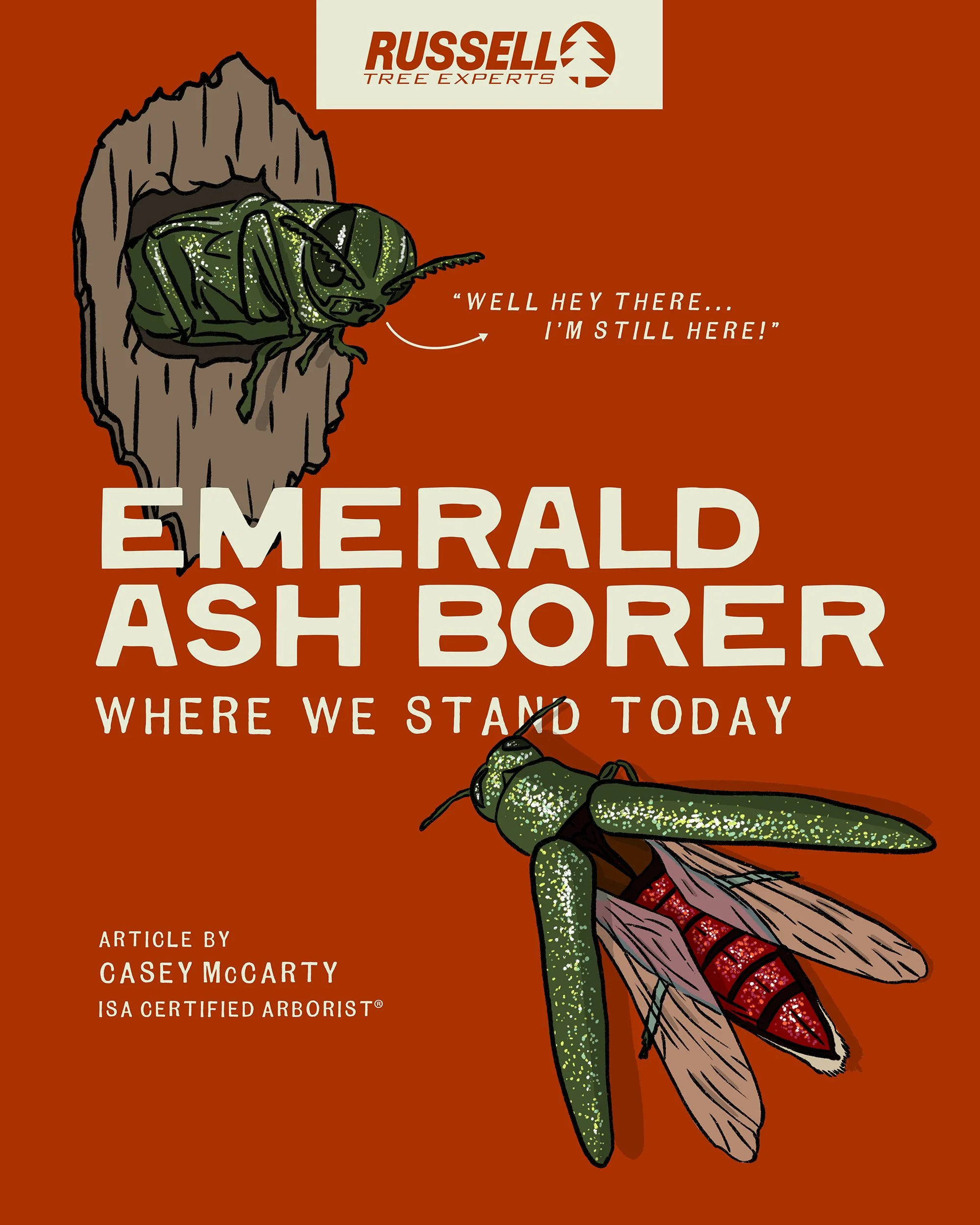 Emerald Ash Borer: Where We Stand Today