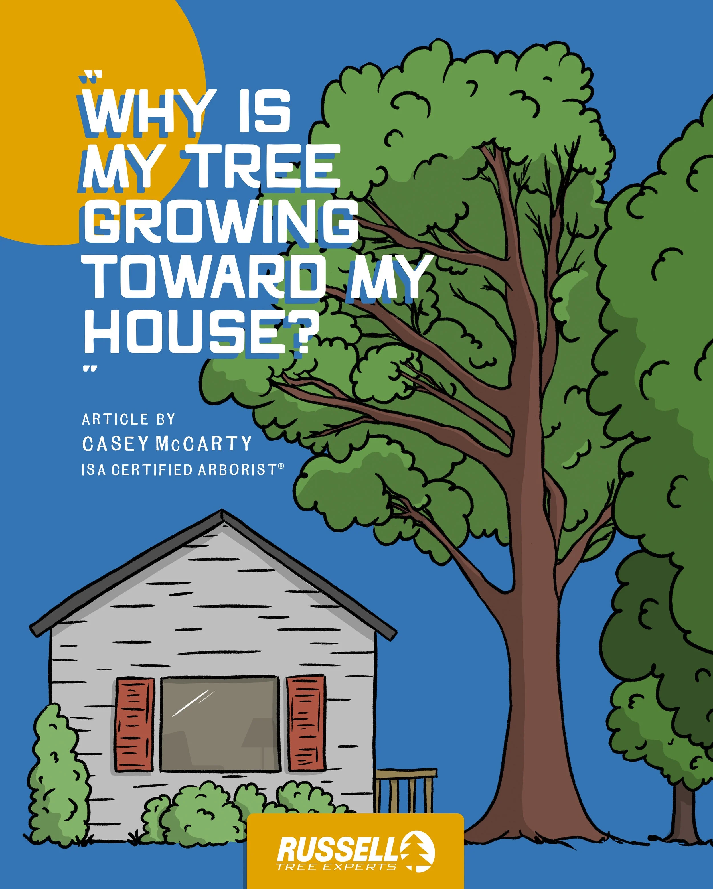 “Why is my Tree Growing Toward my House?”