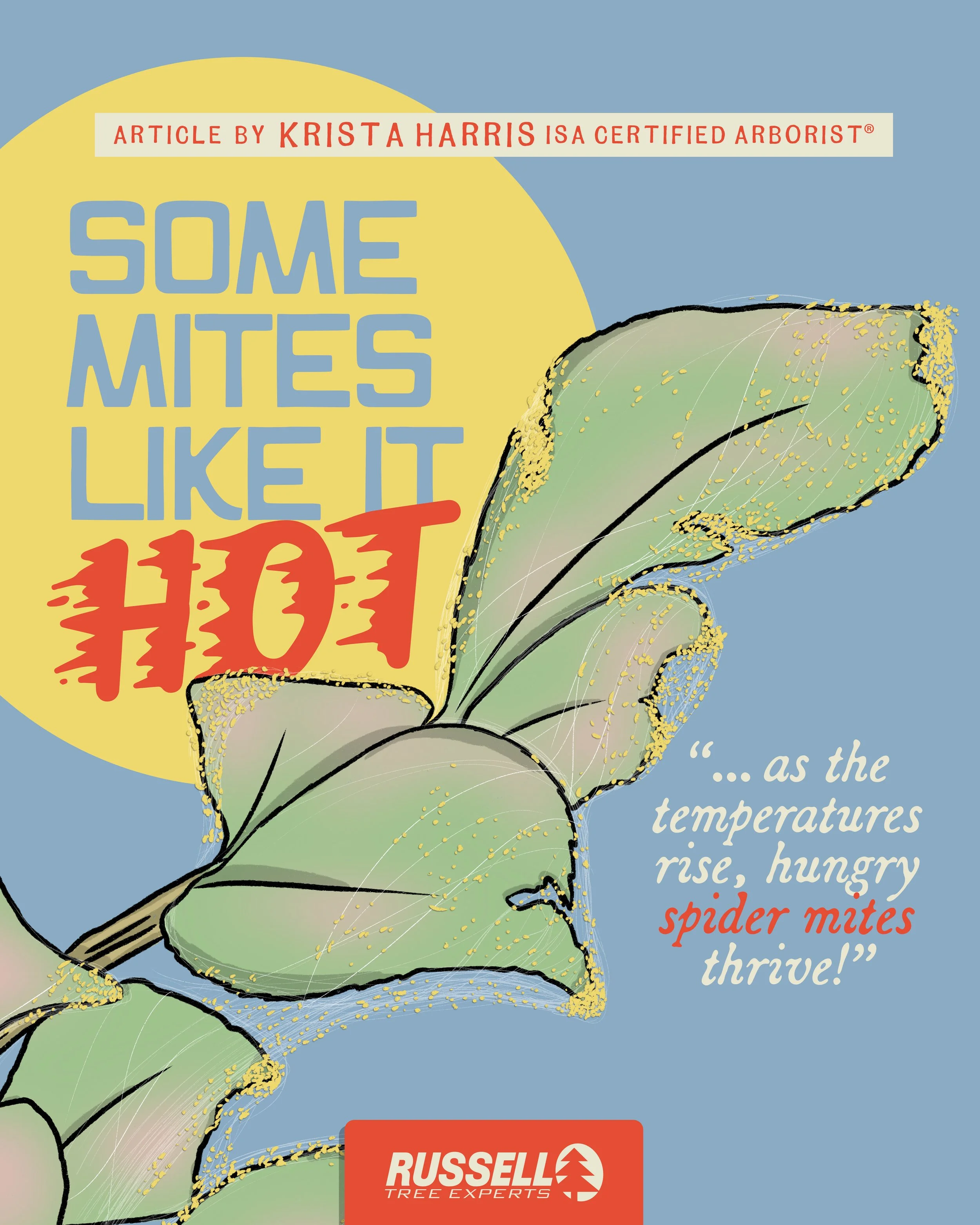 Some Mites Like It Hot... Ready or Not!