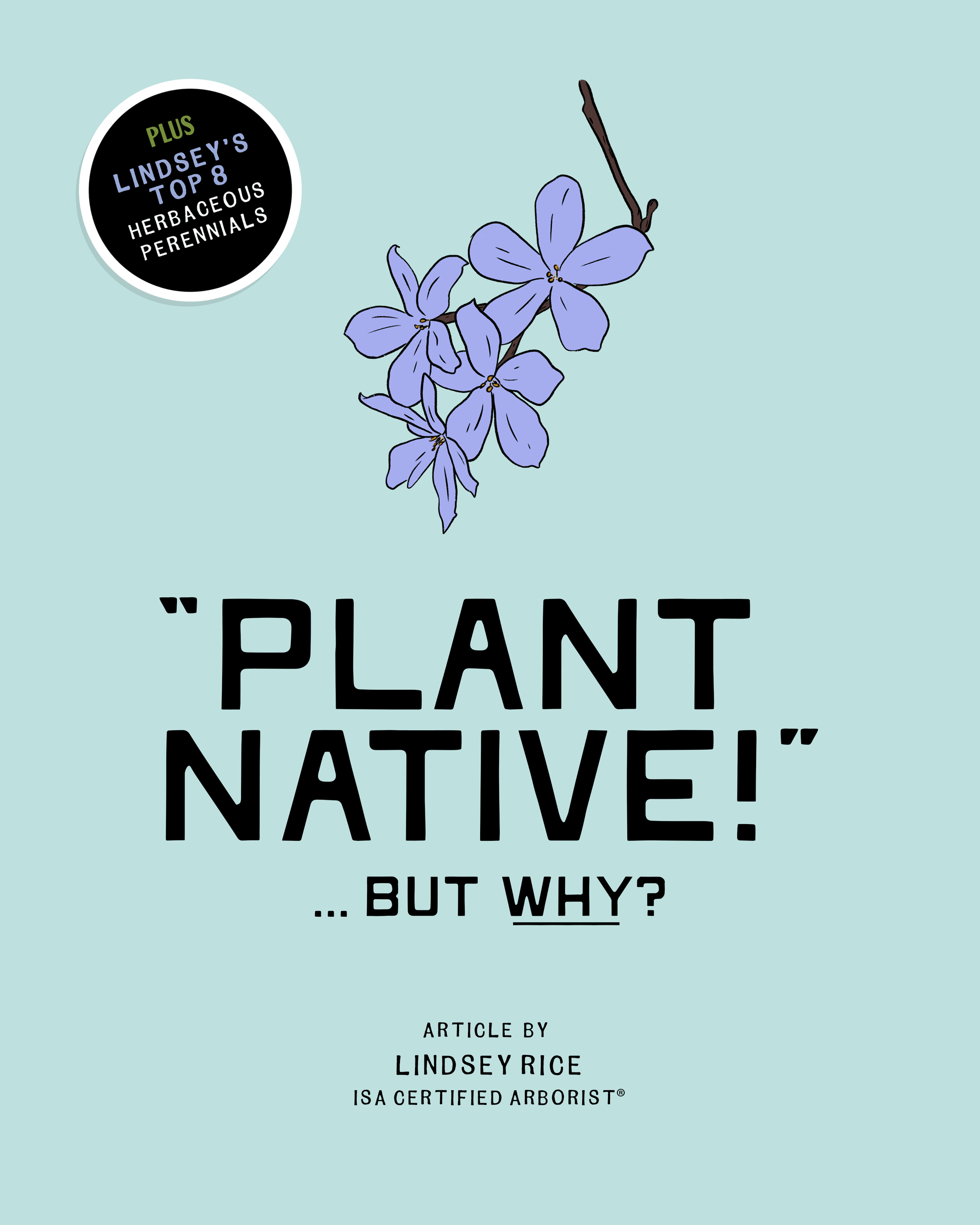 Plant Native – But why?