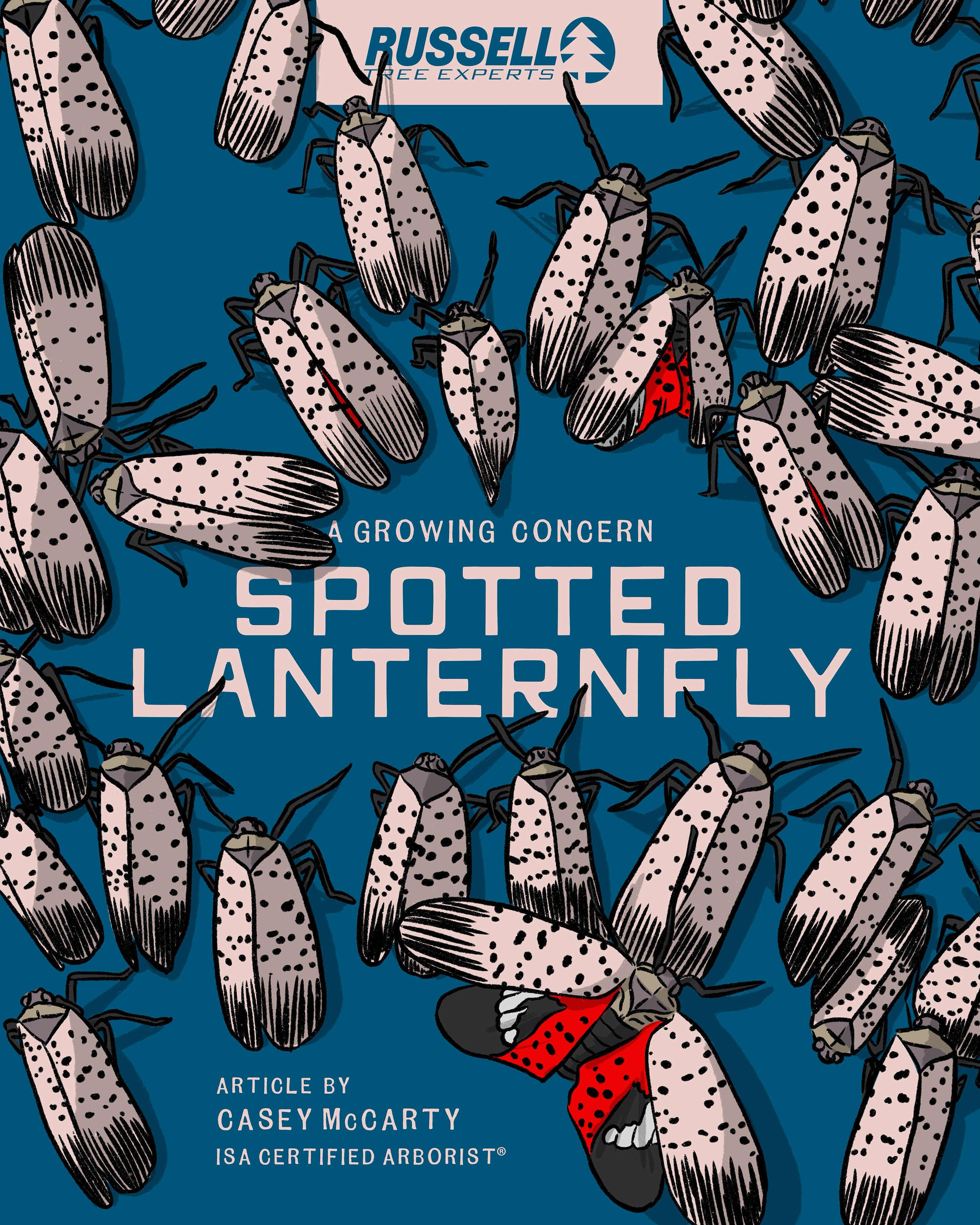 Spotted Lanternfly A Growing Concern by Casey McCarty.jpg