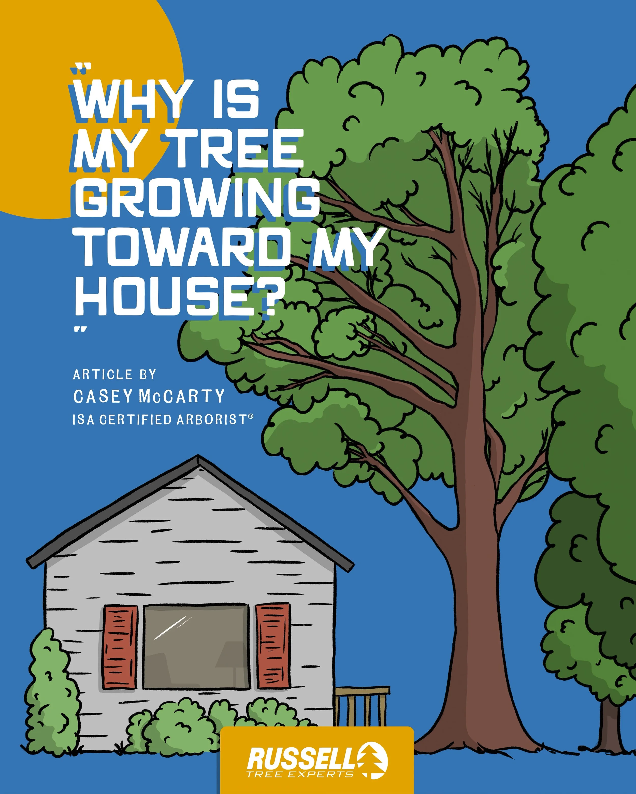 Why Is My Tree Growing Toward My House by Casey McCarty.jpg