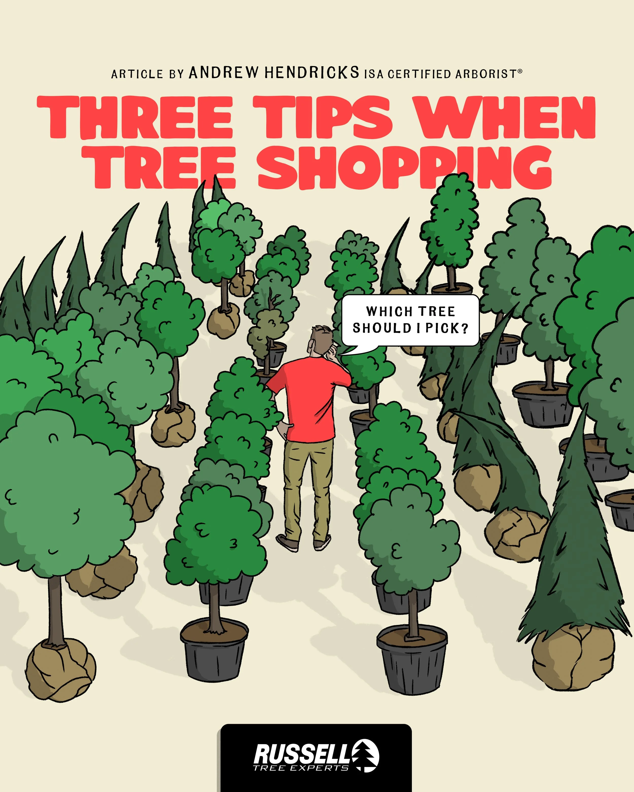 Three Tips When Tree Shopping