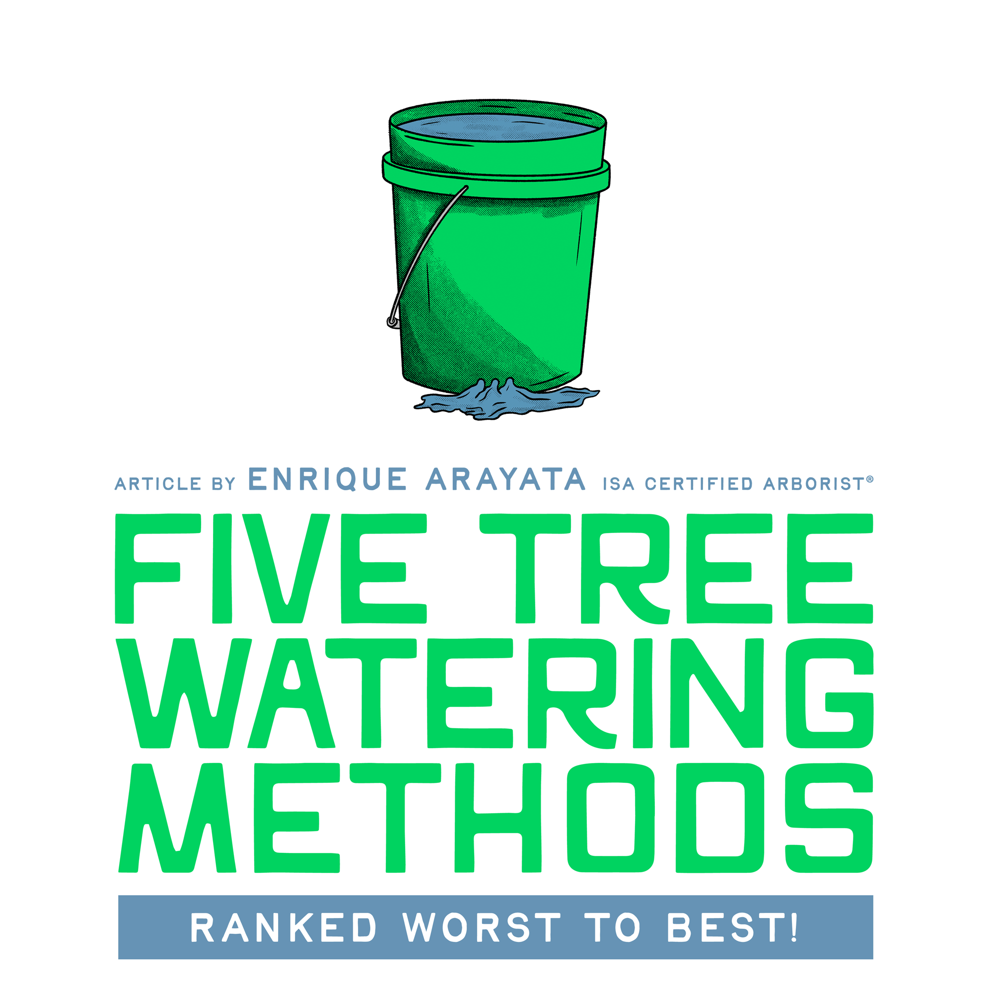 5 Tree Watering Methods Ranked Worst to Best!