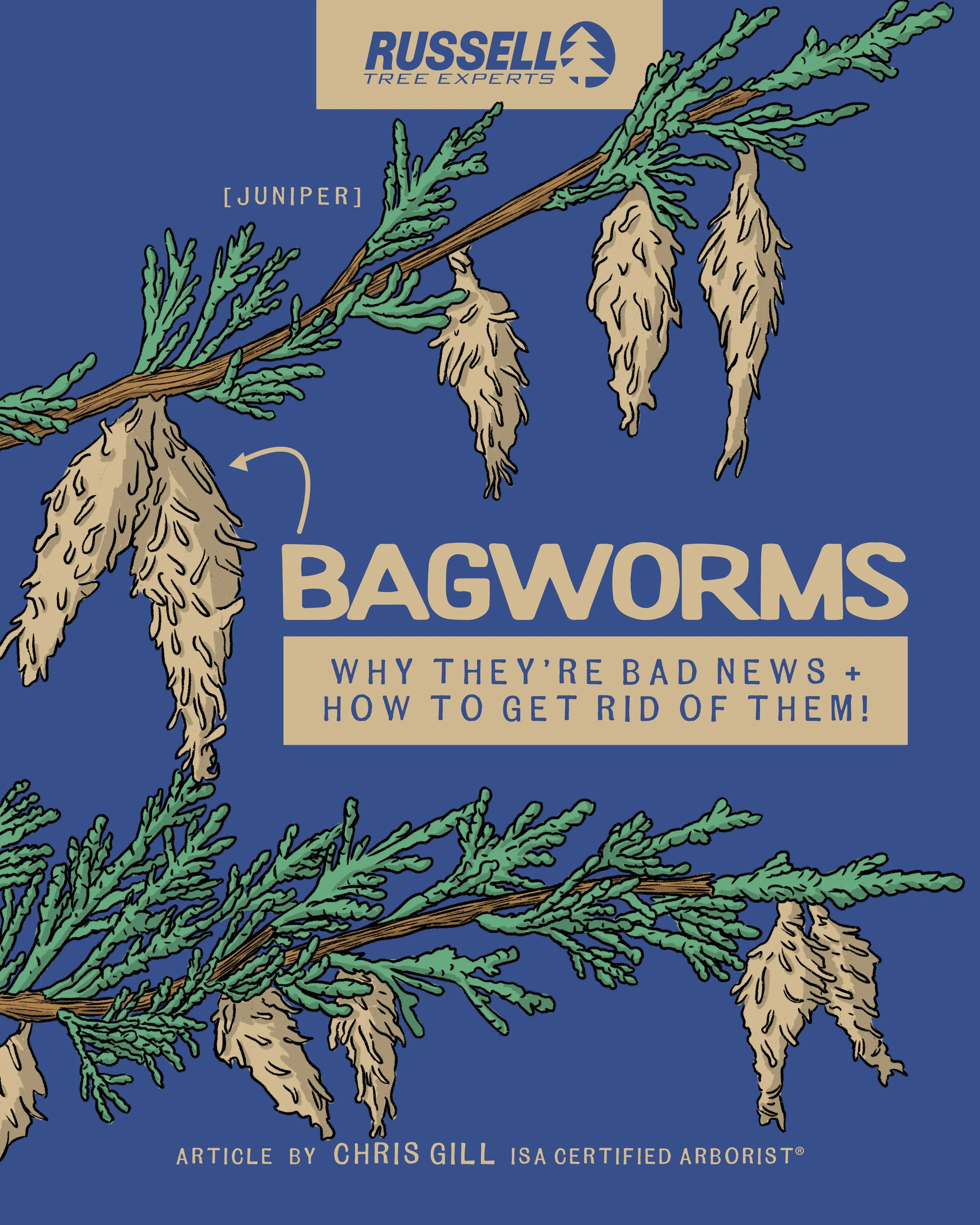 260528-bagworm-repub.jpg