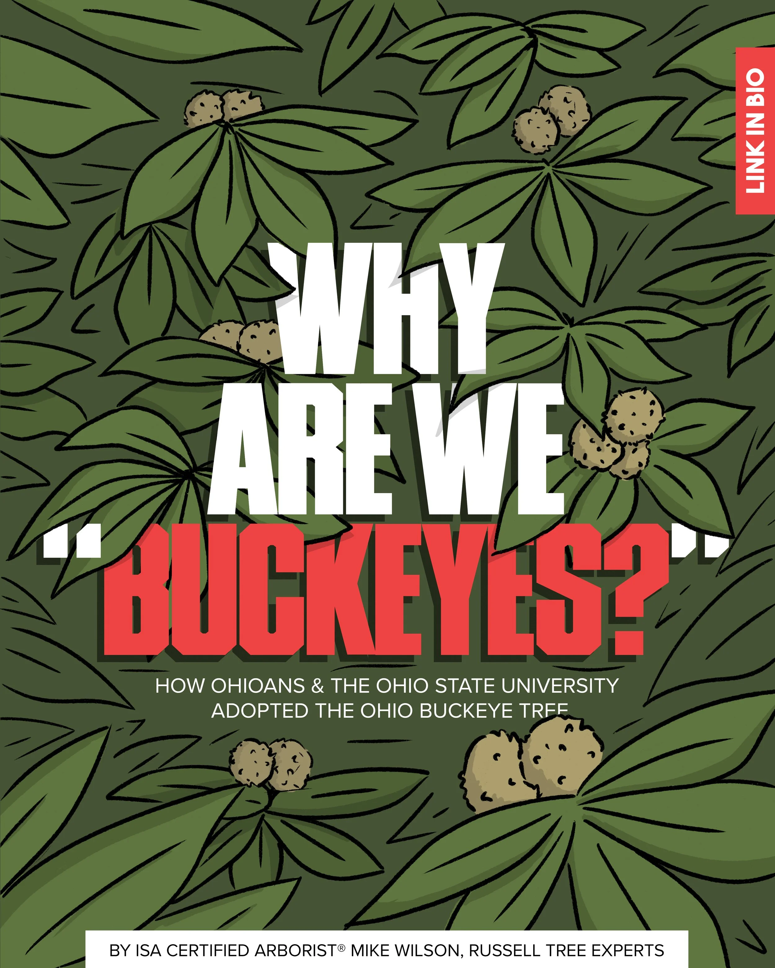 231114-why-are-we-buckeyes-instagram.jpg