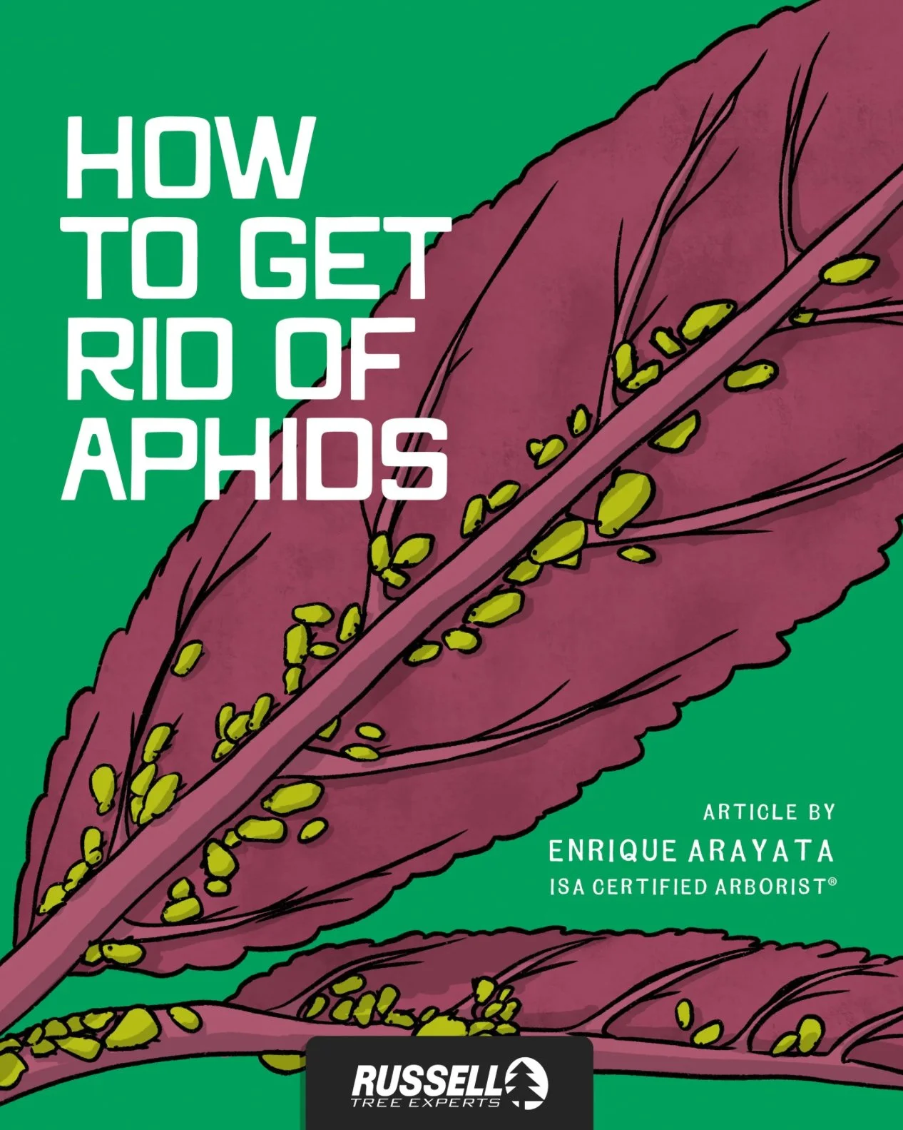 How To Get Rid Of Aphids by Enrique Arayata Compressed.jpg