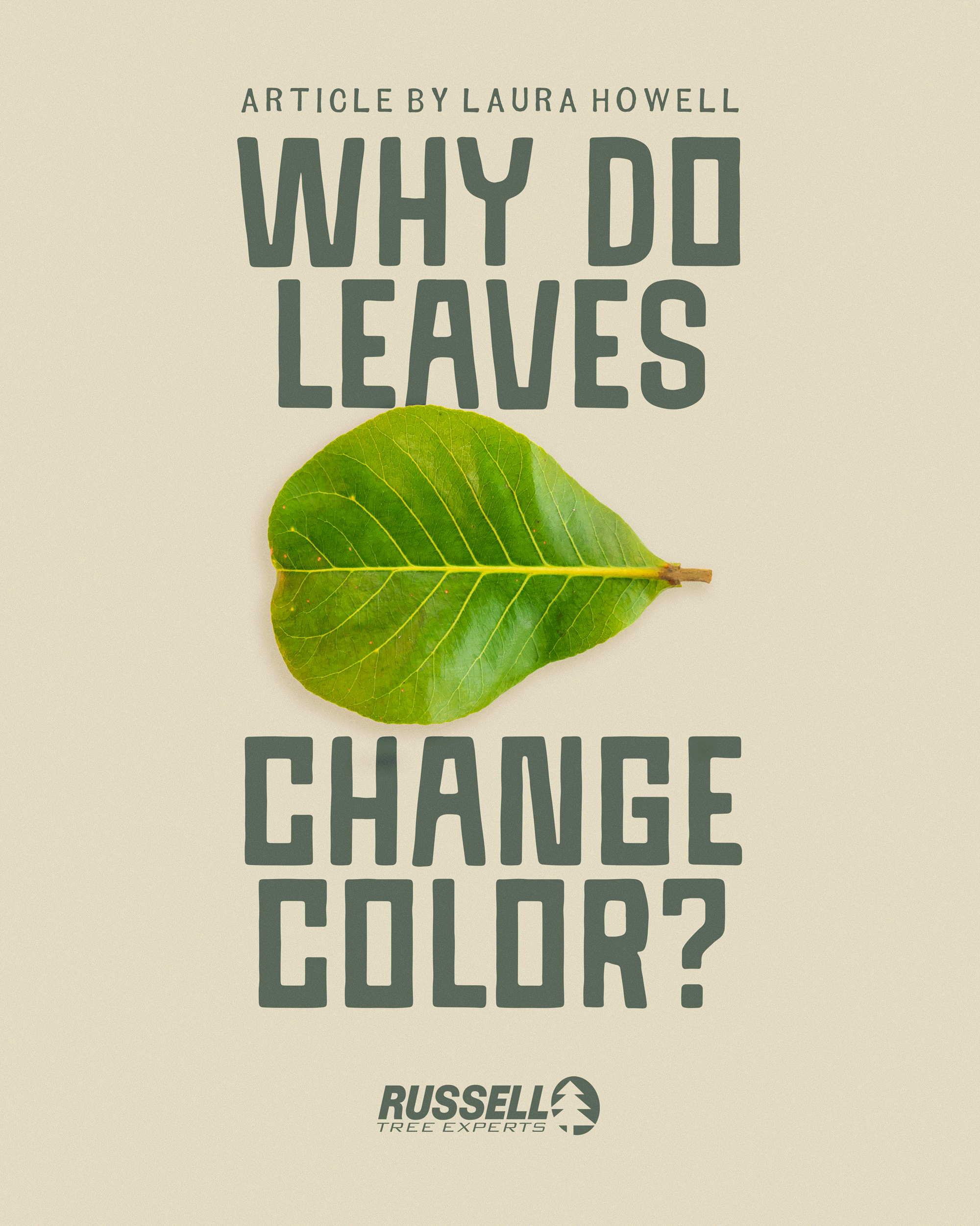 Why Do Leaves Change Color?