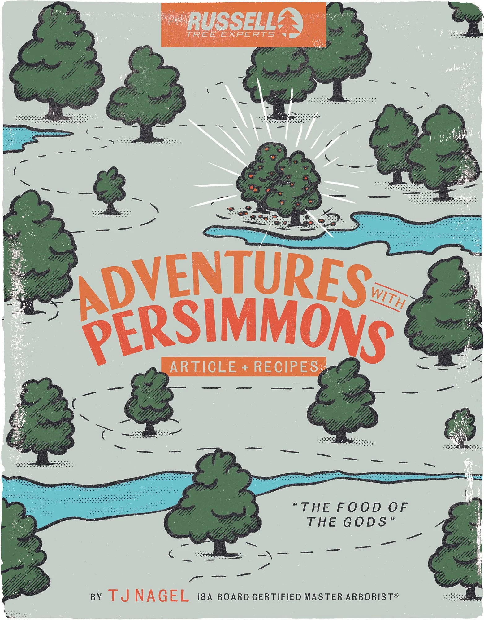 260129-adventures-with-persimmons-crop.jpg